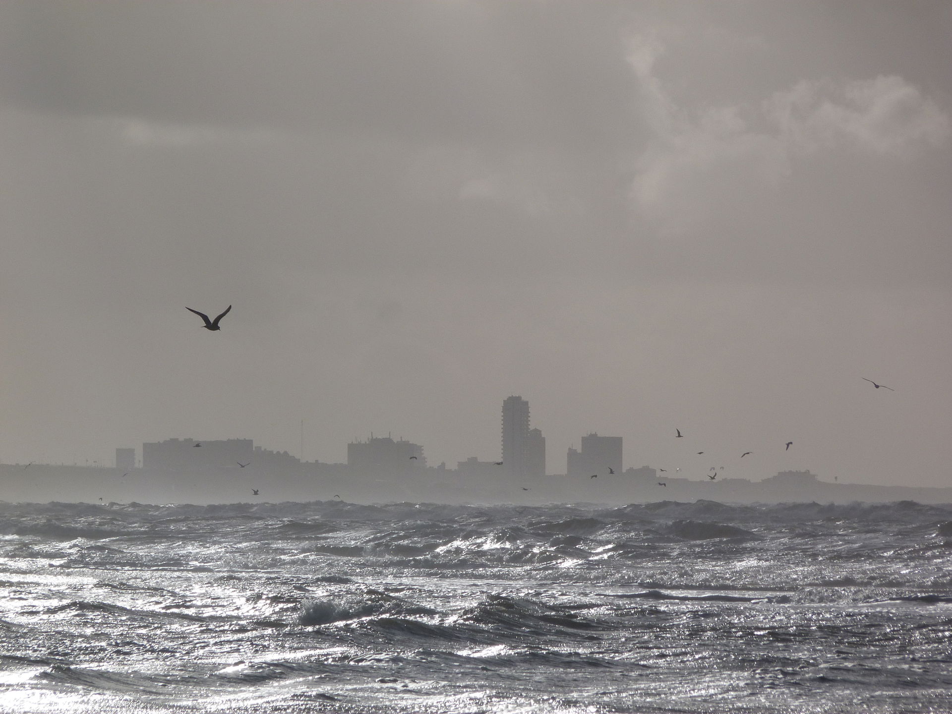 Zandvoort, North Holland, Holland, 1 January 2024