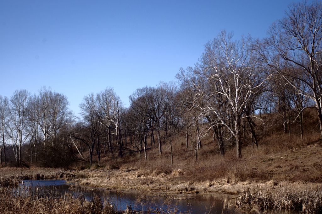Prophetstown State Park, near Lafayette IN.