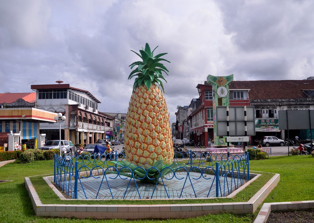 This pineapple will start my candid and street photography of S…