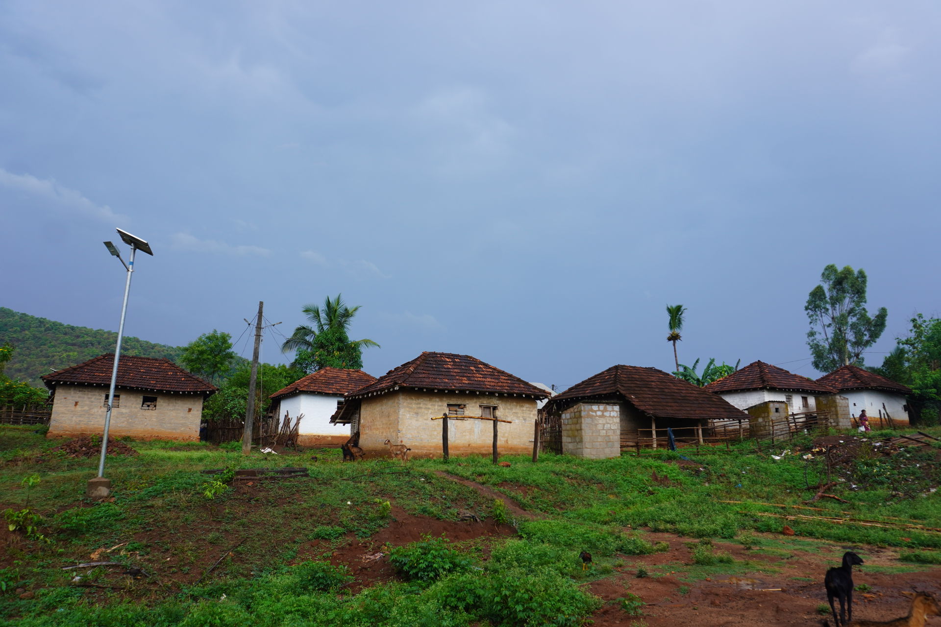 A group of tiled roof houses in a tribal village in Andhra Prad…