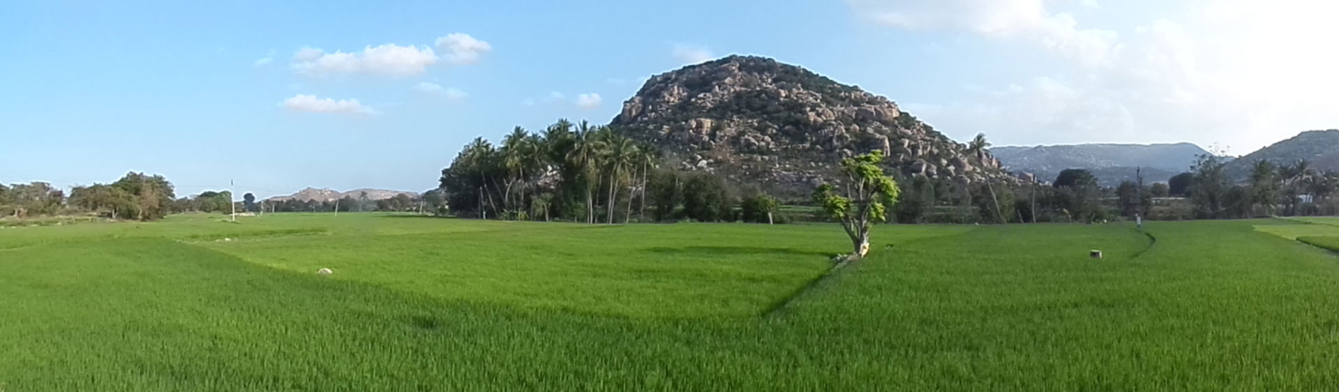 madanapalle! rocky rayaslaseema AP