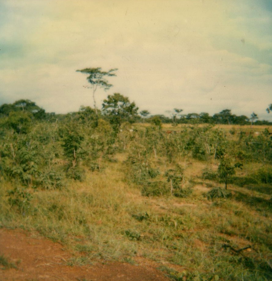 Countryside near by Jamba/Angola 02