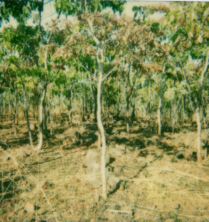 Countryside near by Jamba/Angola