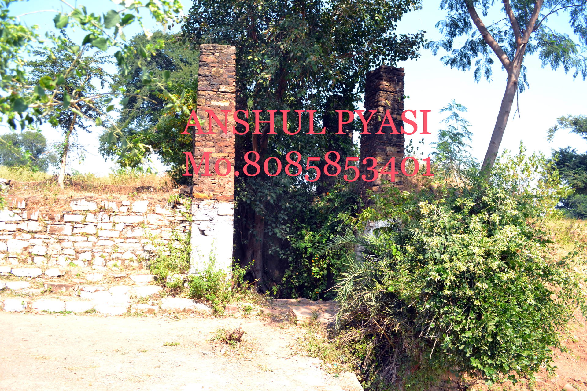 Narsingarh Damoh ,M.P.