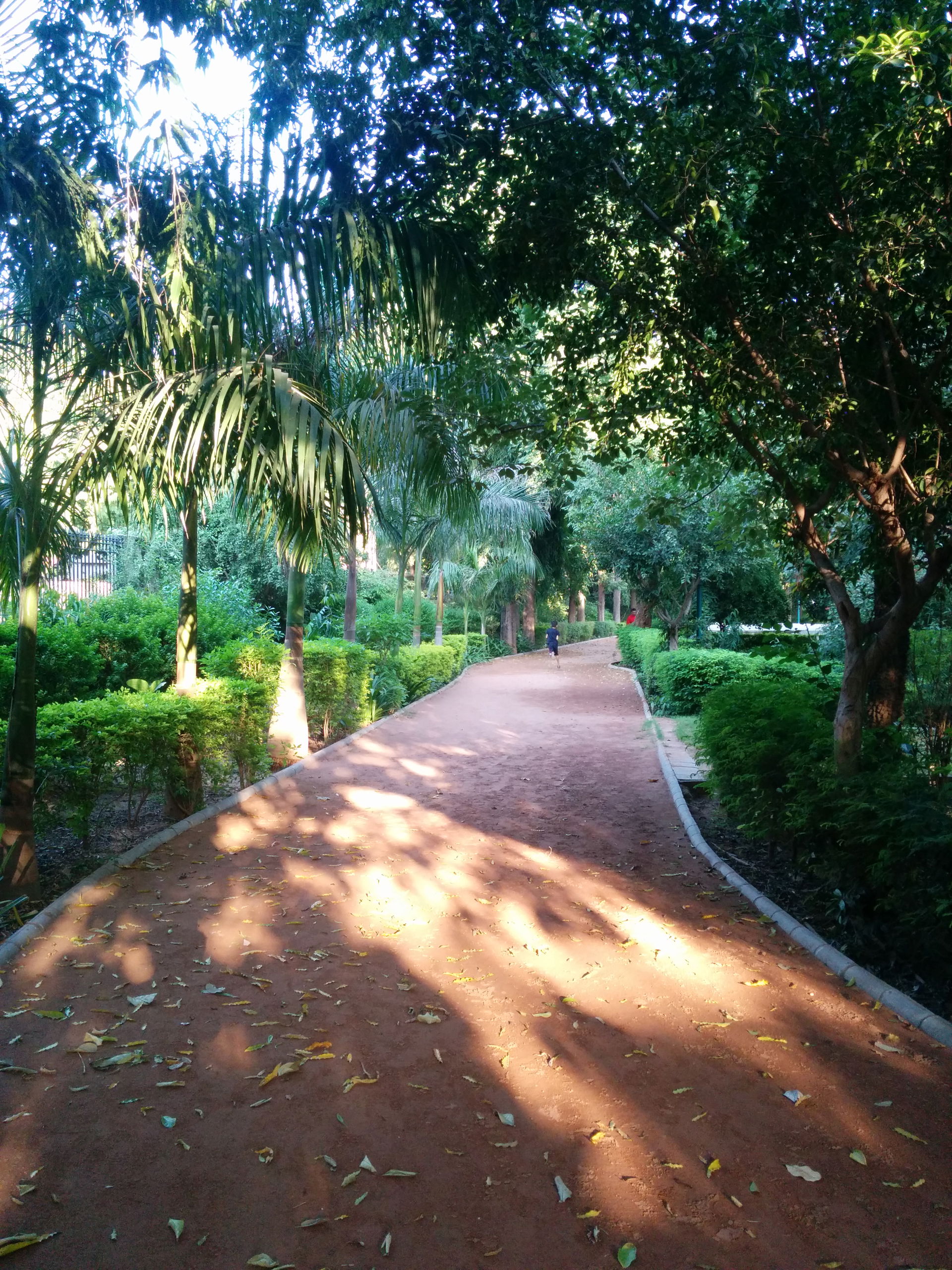 Garden located near Vidyamandir in Palanpur