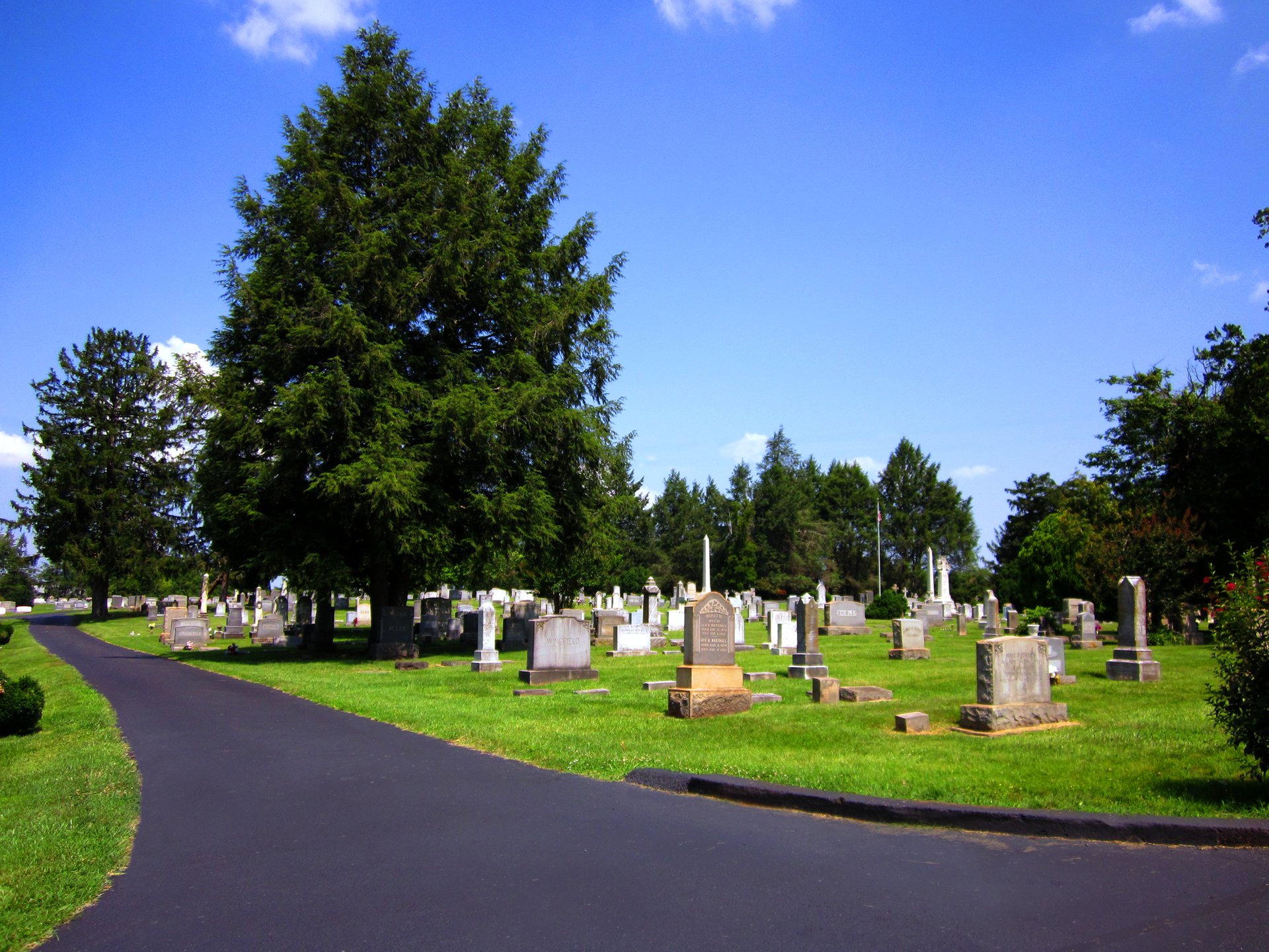 A photo of Riverview Cemetery, Charlottesville, VA