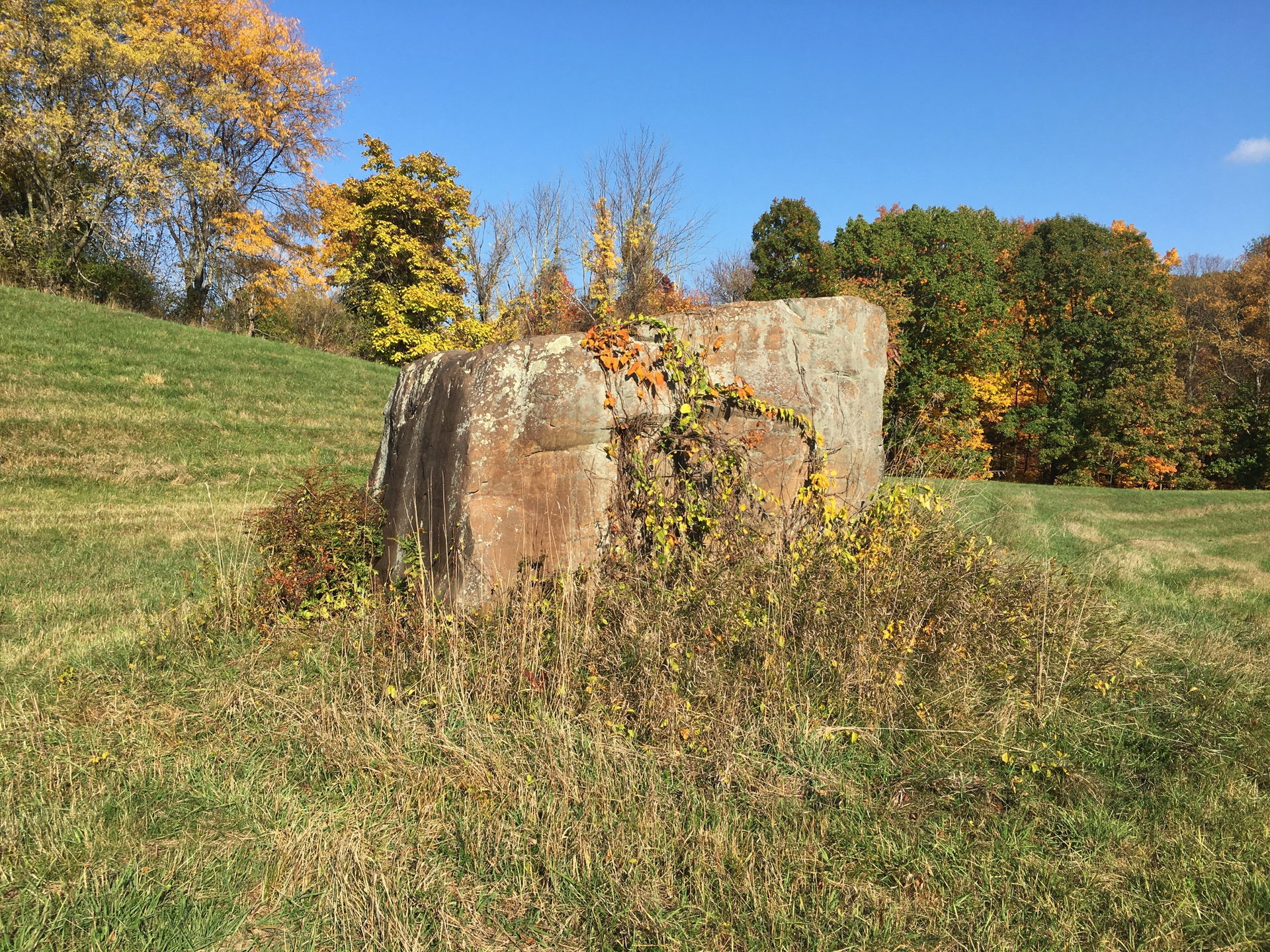 Photograph of a large boulder (possible glacial erratic) locate…