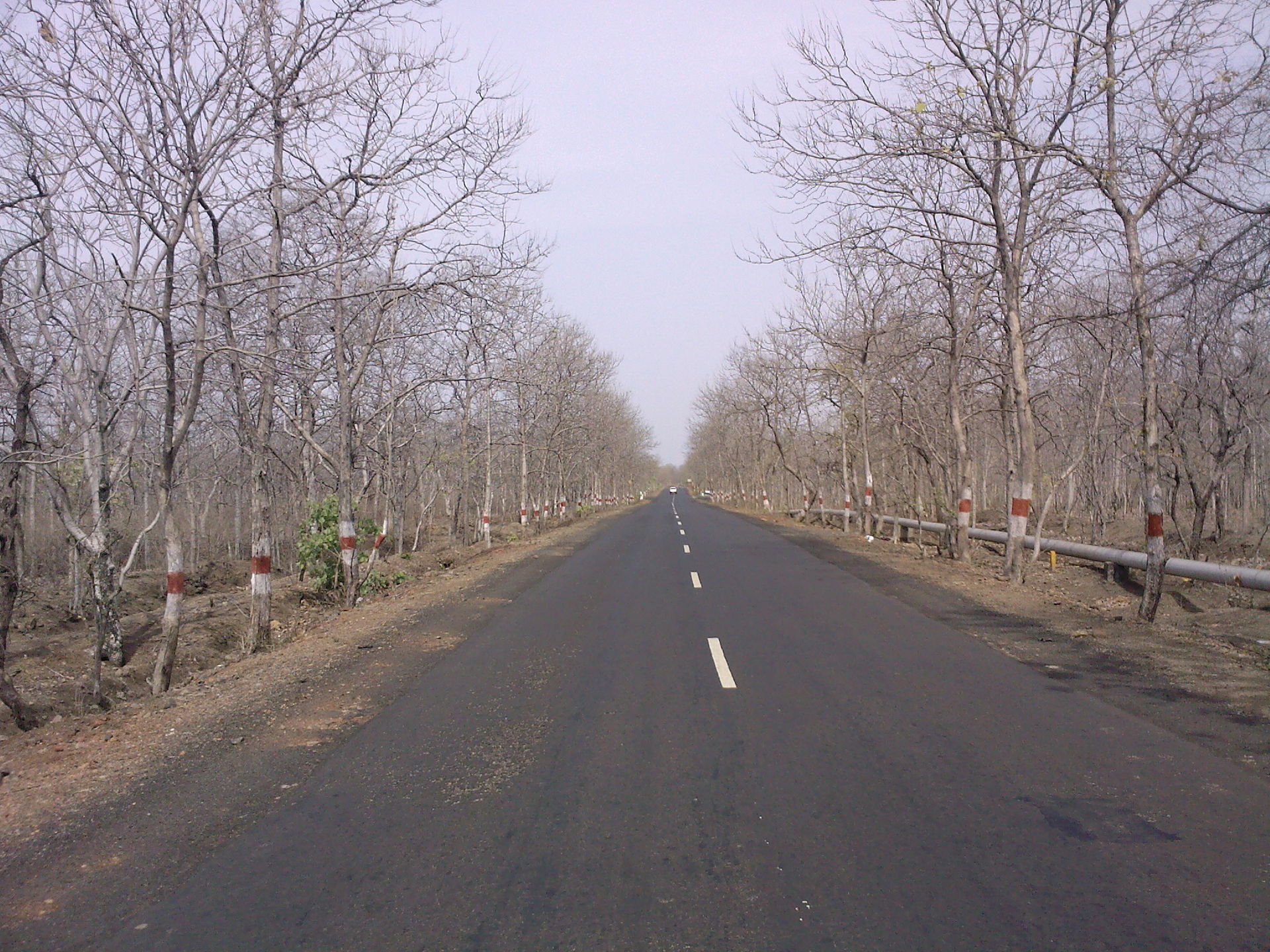nursary road, Yavatmal
