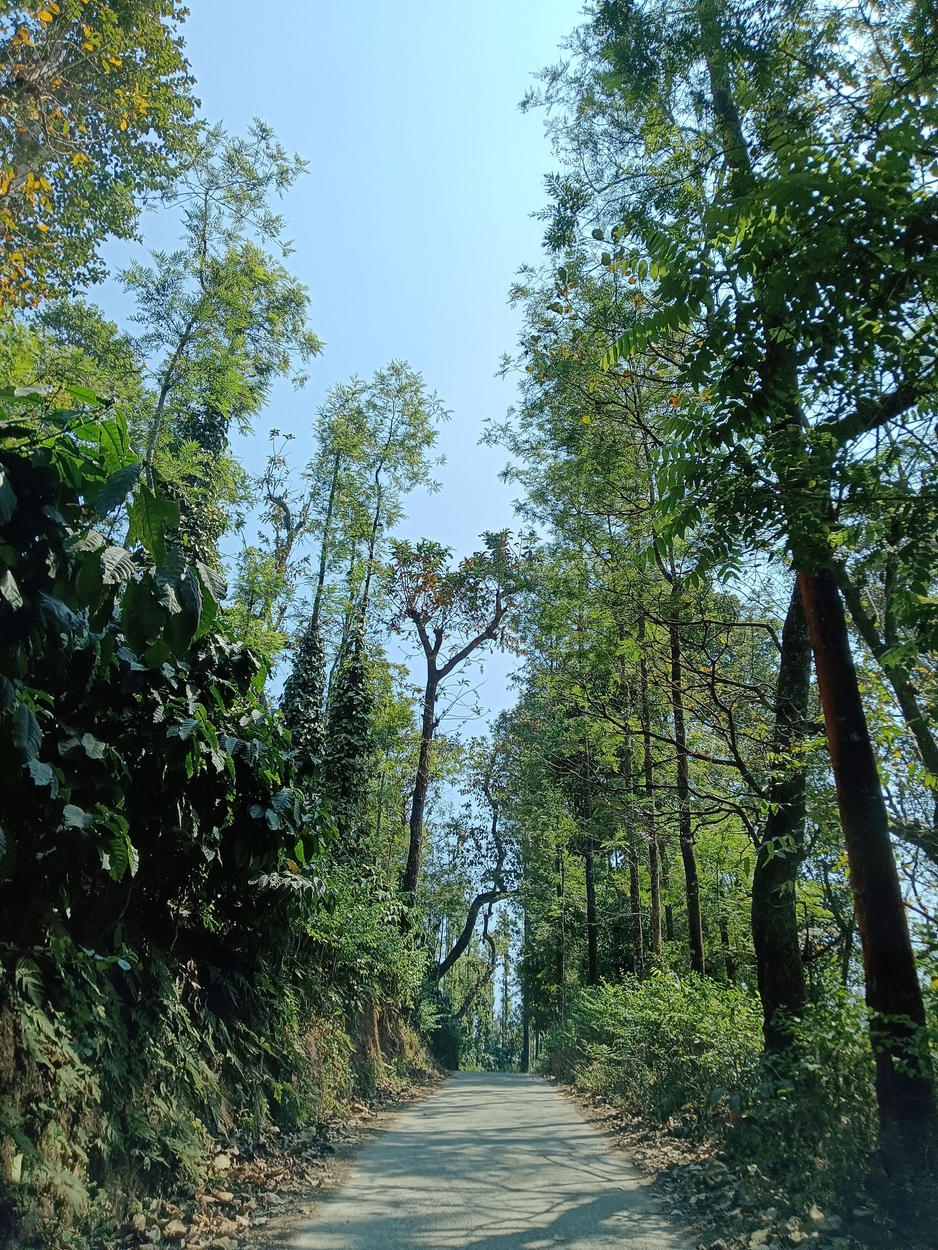 Chikkamagaluru