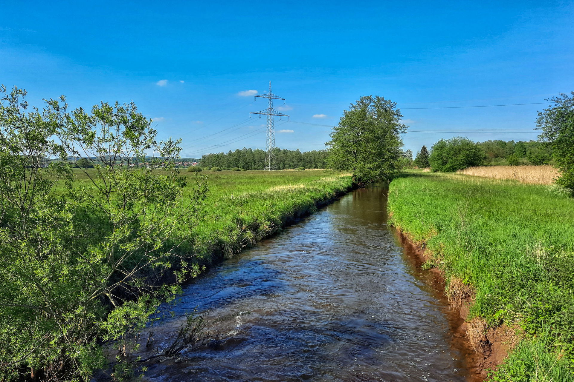 Der Glan am Südrand des Scheidelberger Woogs