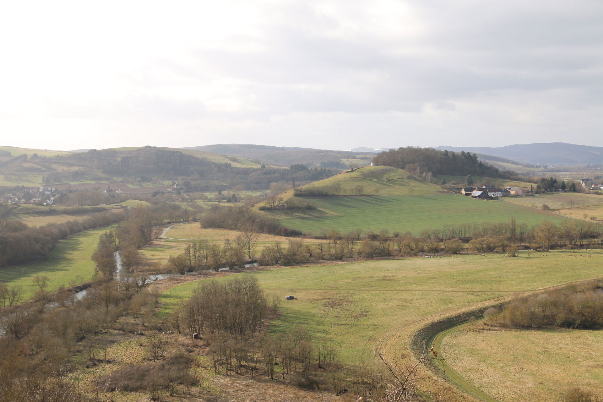Naturpark Soonwald-Nahe: Blick zum Disibodenberg (Wald auf der …