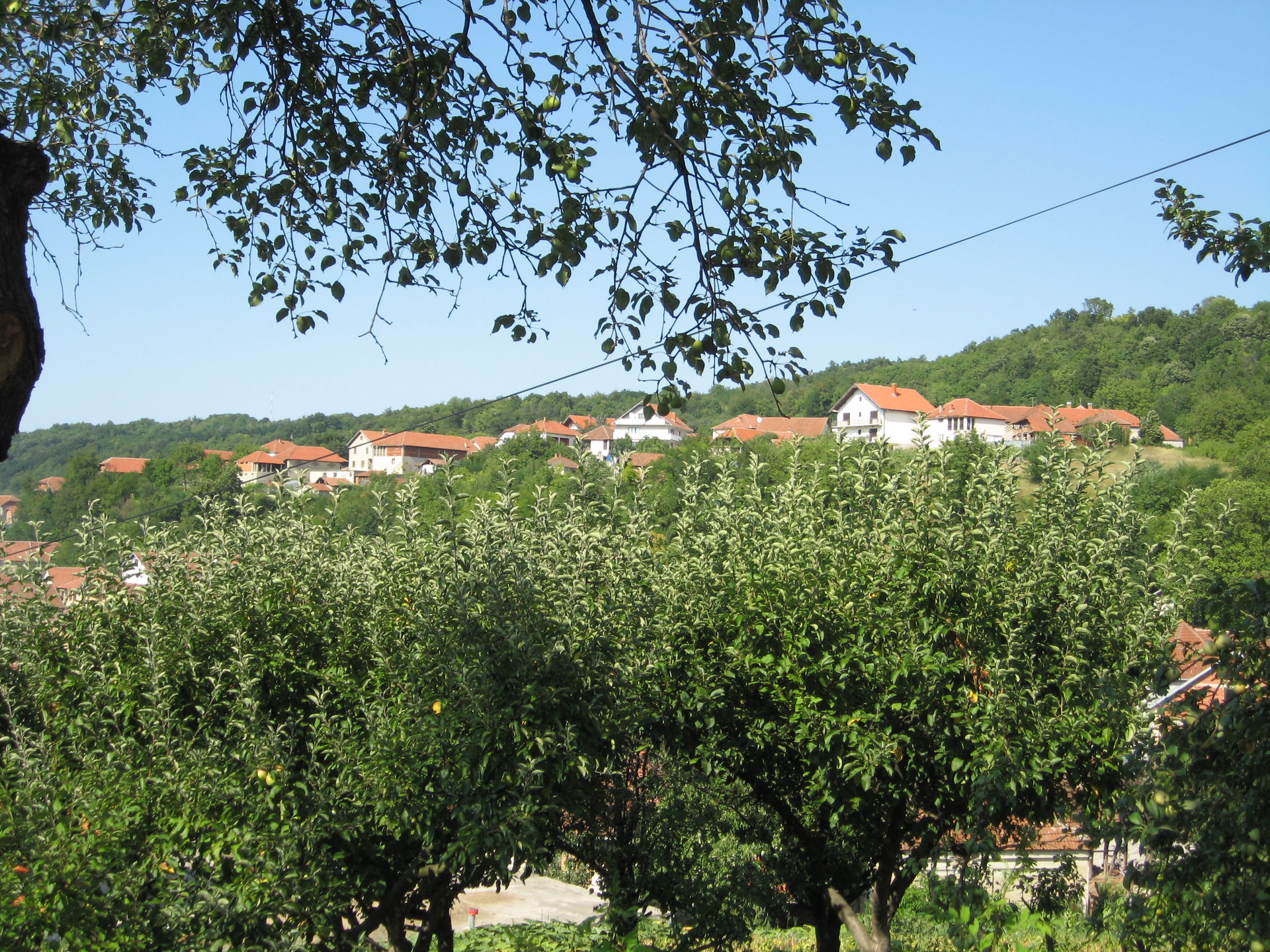 Aleksandrovac juli 2011