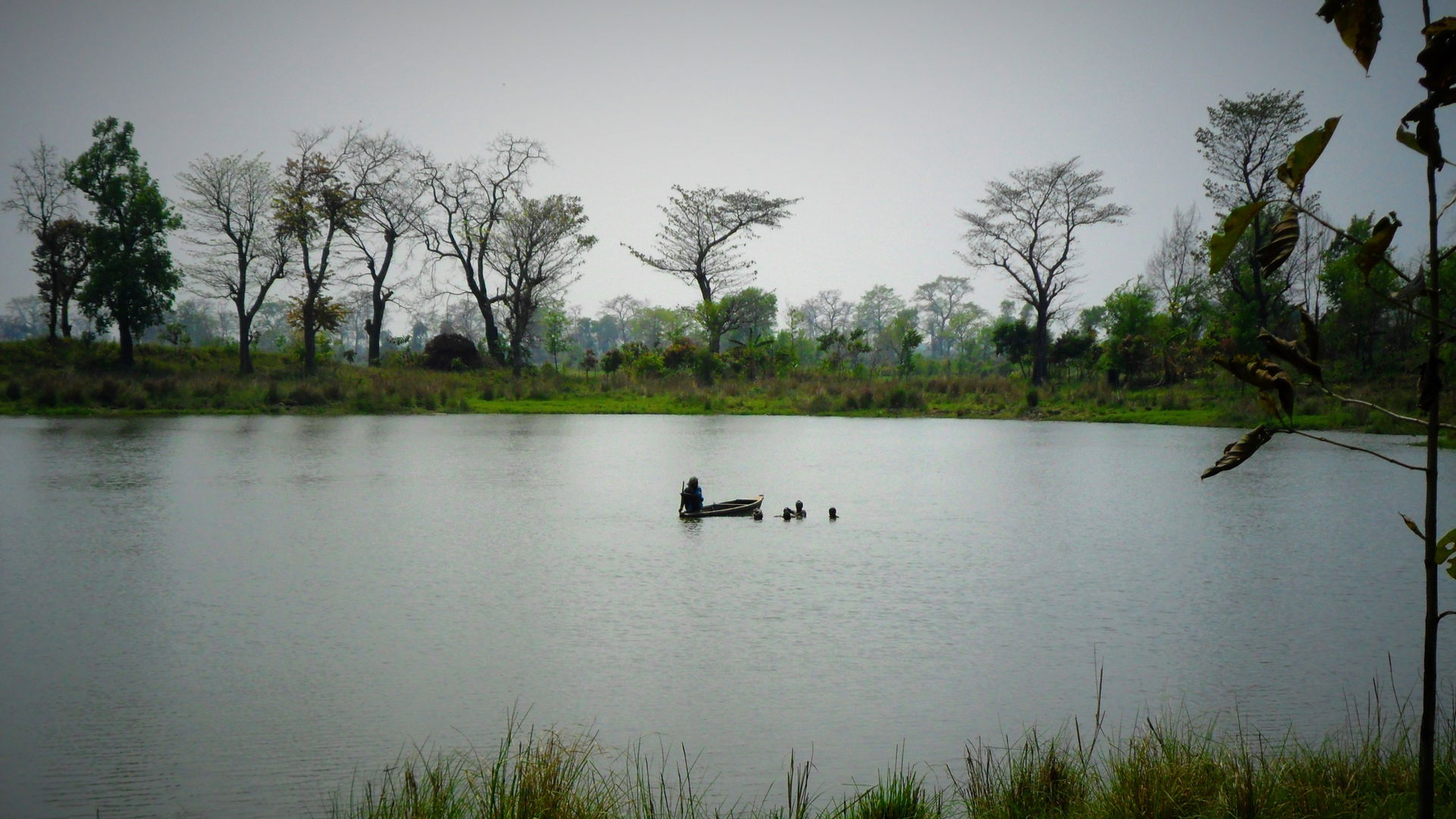 Lake at Daruabari, a settlement of Tharu tribe of Mongoloid ori…