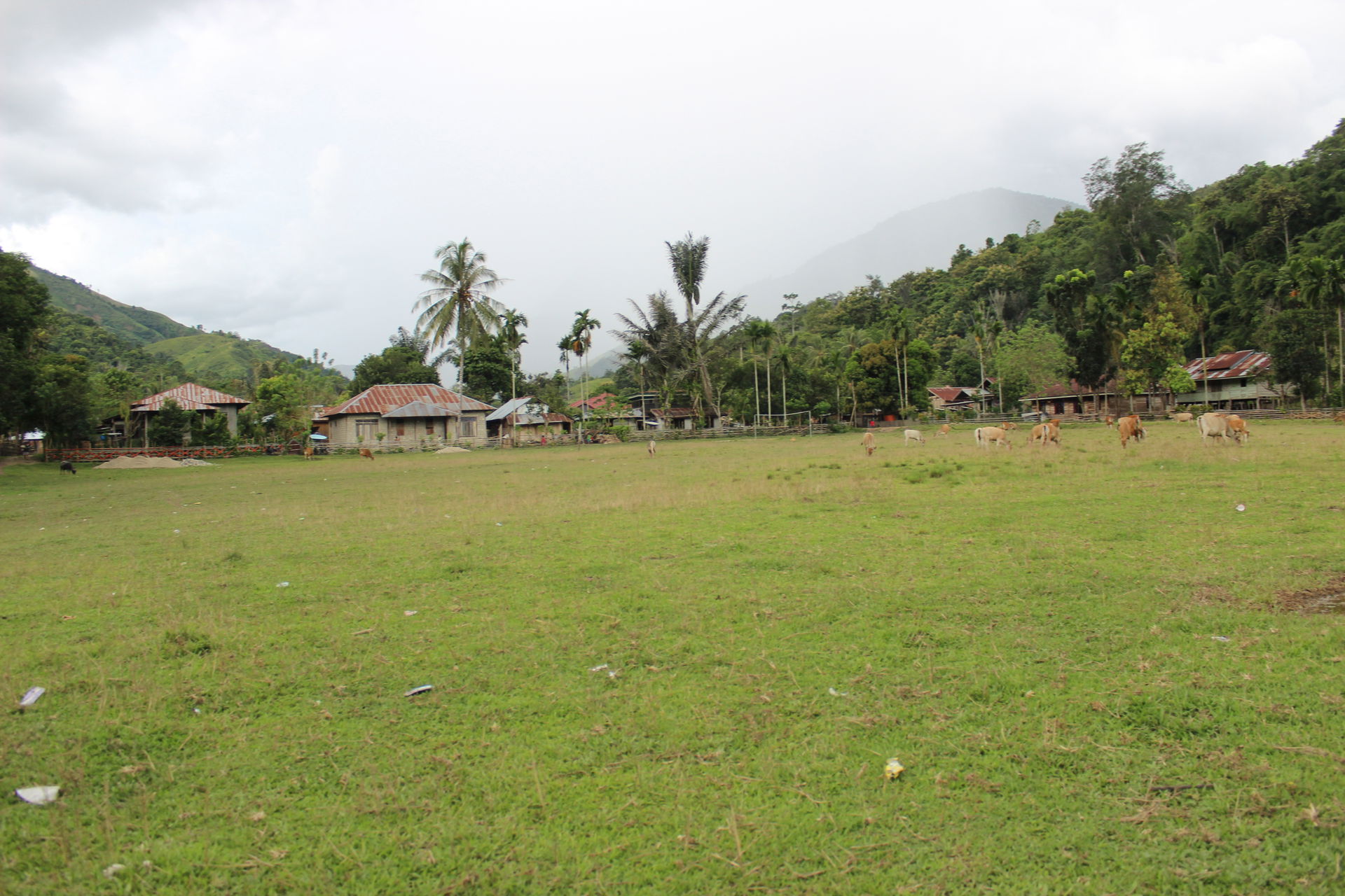 Karataun, Kalumpang, Mamuju Regency, West Sulawesi, Indonesia