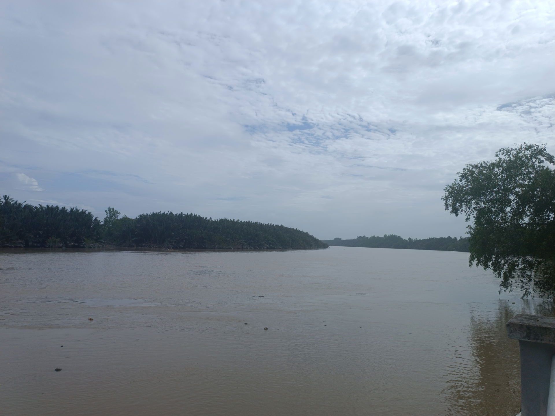 Bernam River from Sabak