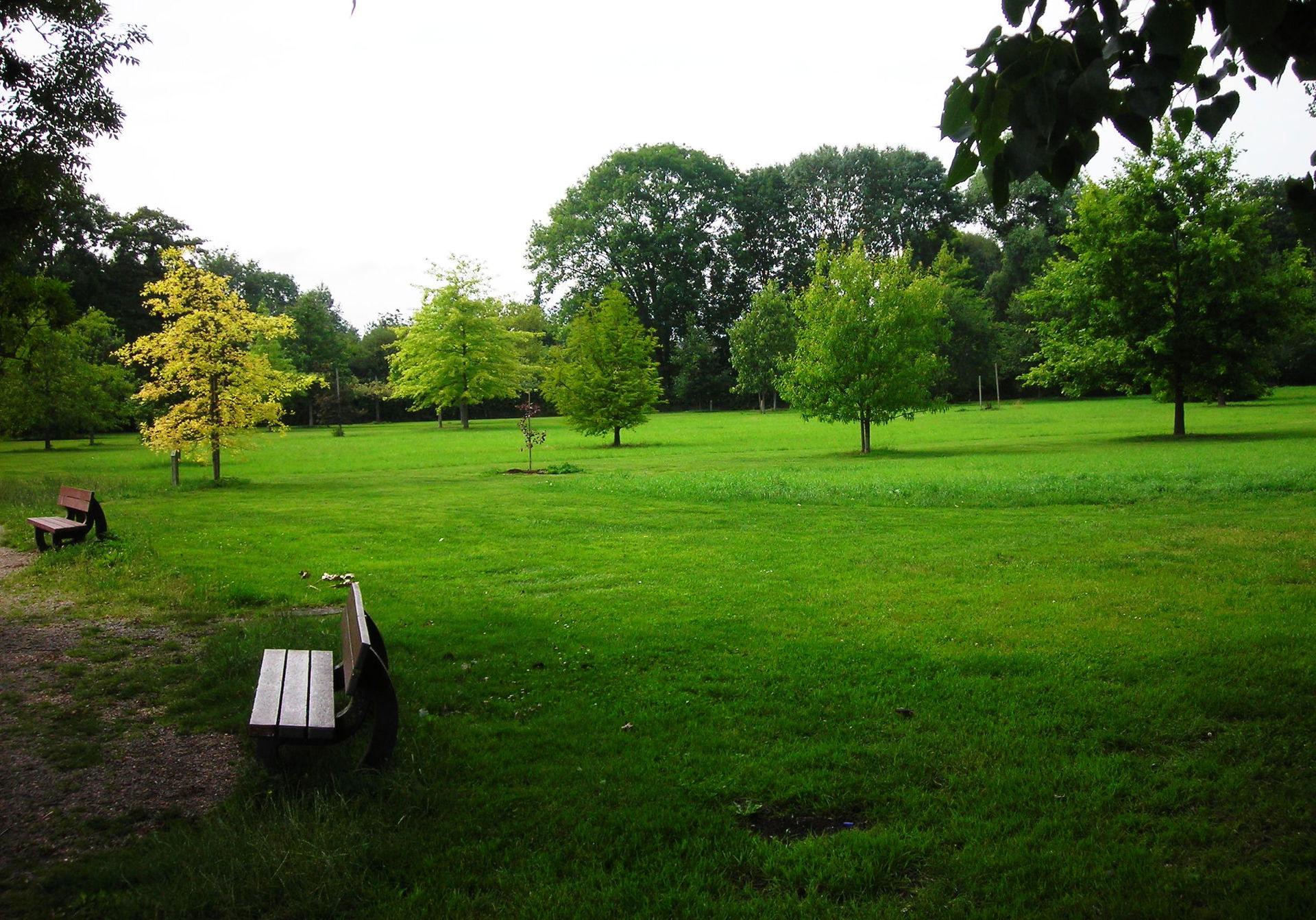 Arboretum Koutiala d’Alençon (Orne, France)