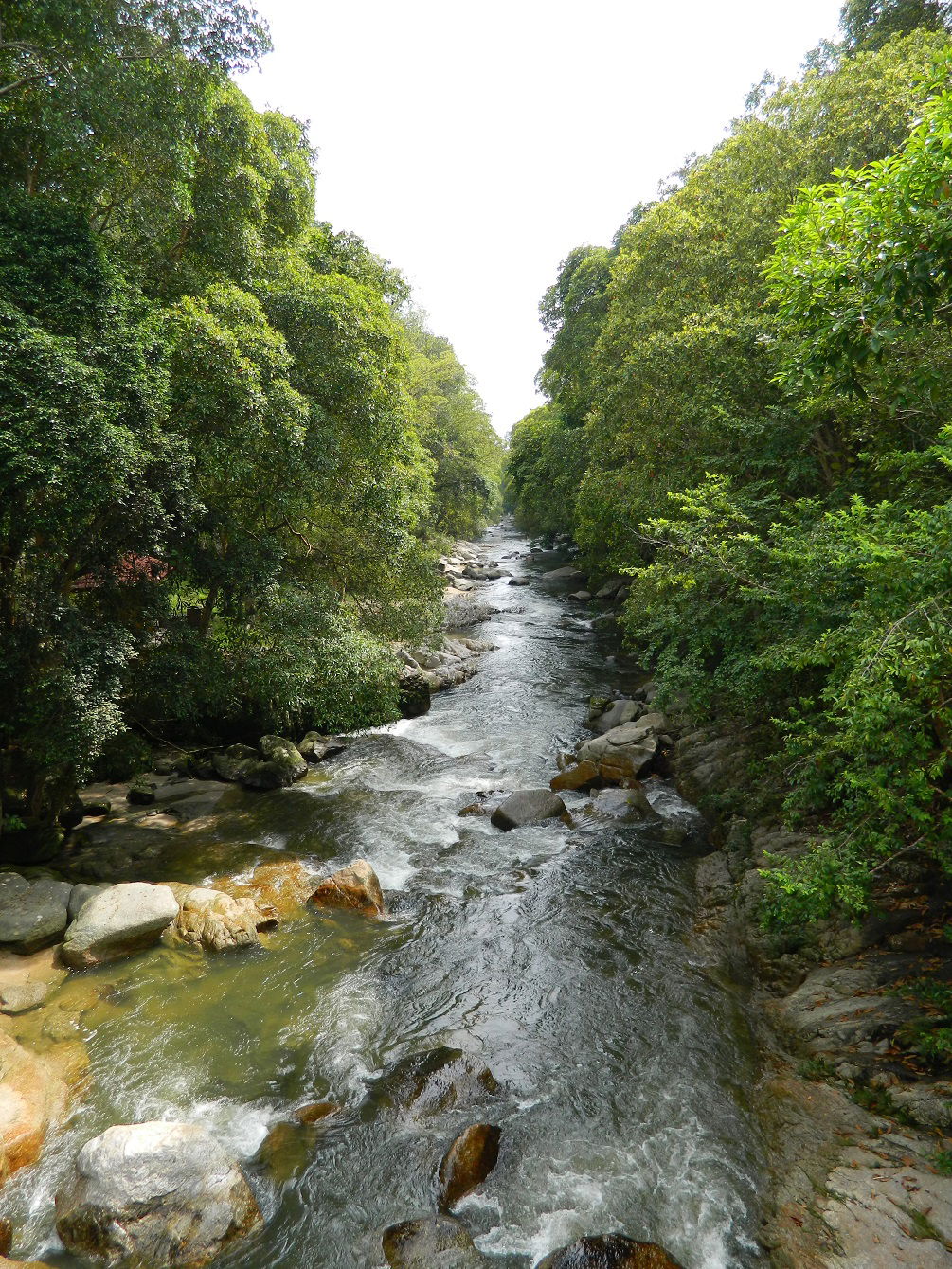 Sungai Perting, Bentong