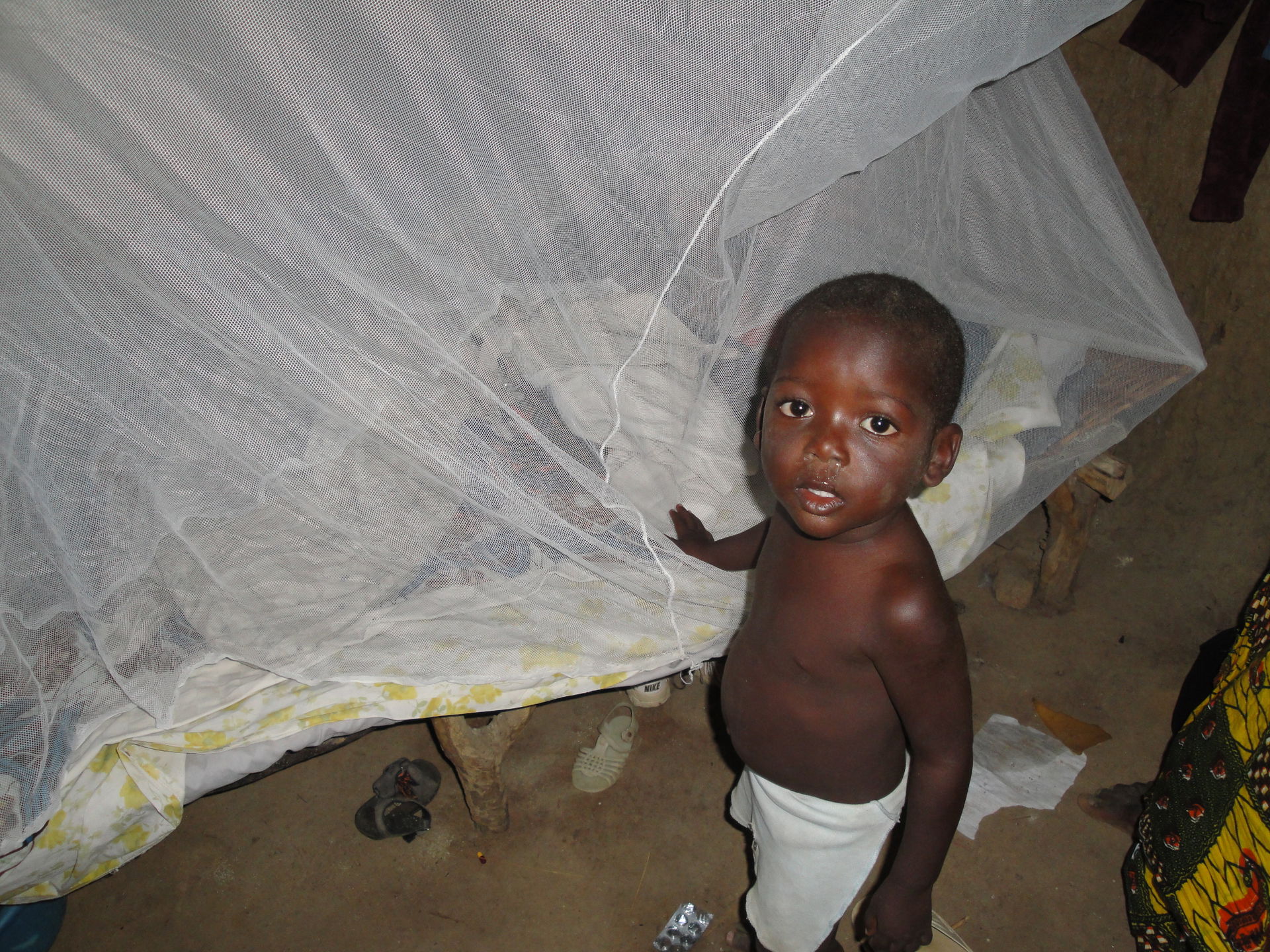 In Africa, malaria-carrying mosquitoes typically bite between d…