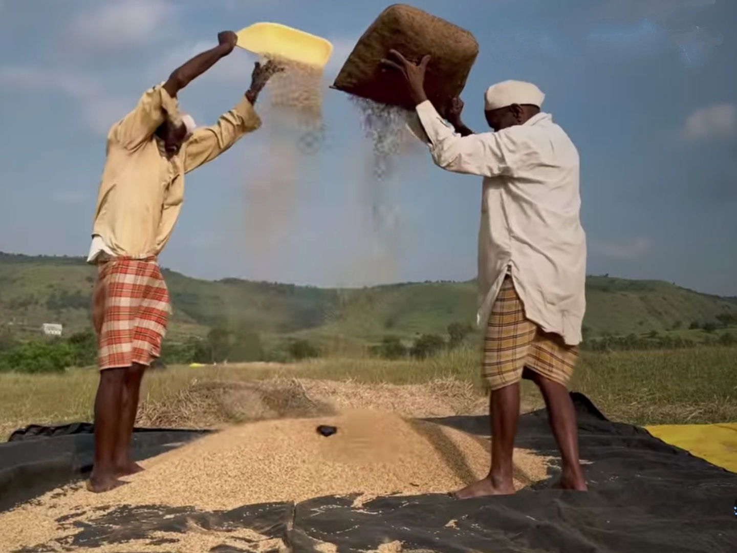farmers, amalner by damini