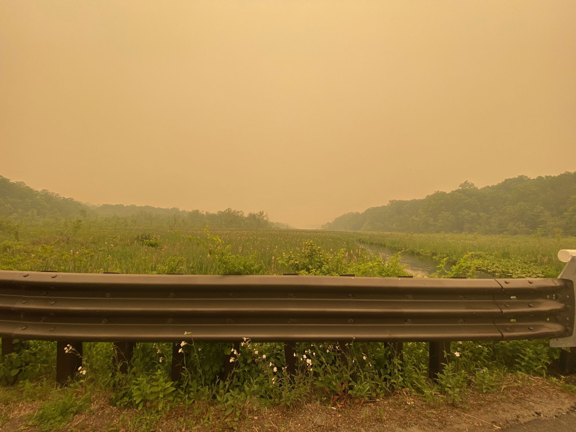 Smoke from wildfires in Canada fills a field off Pleasant Hill …