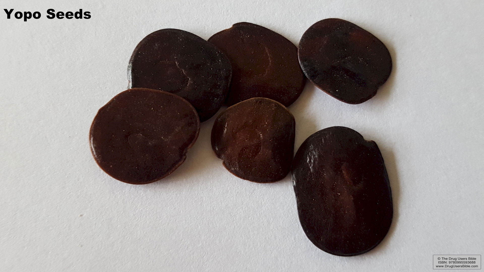 Yopo seeds, not to be confused with cebil seeds, produce a shor…