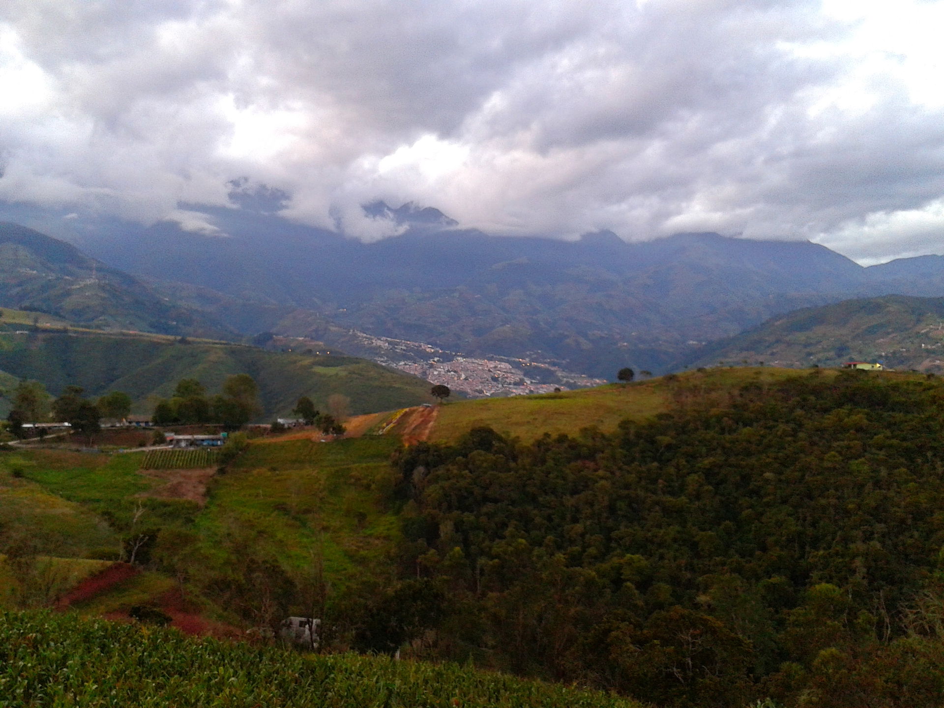 Tachira