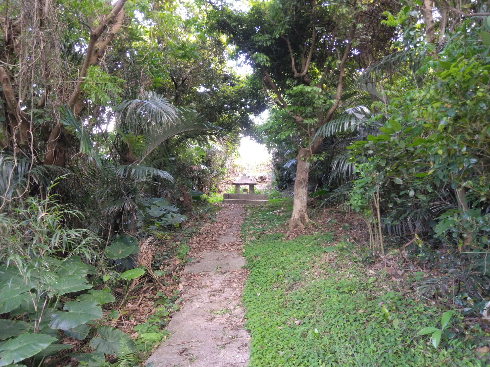 Approach for Ibi sacred place (Nishibaru Ugan'yama)