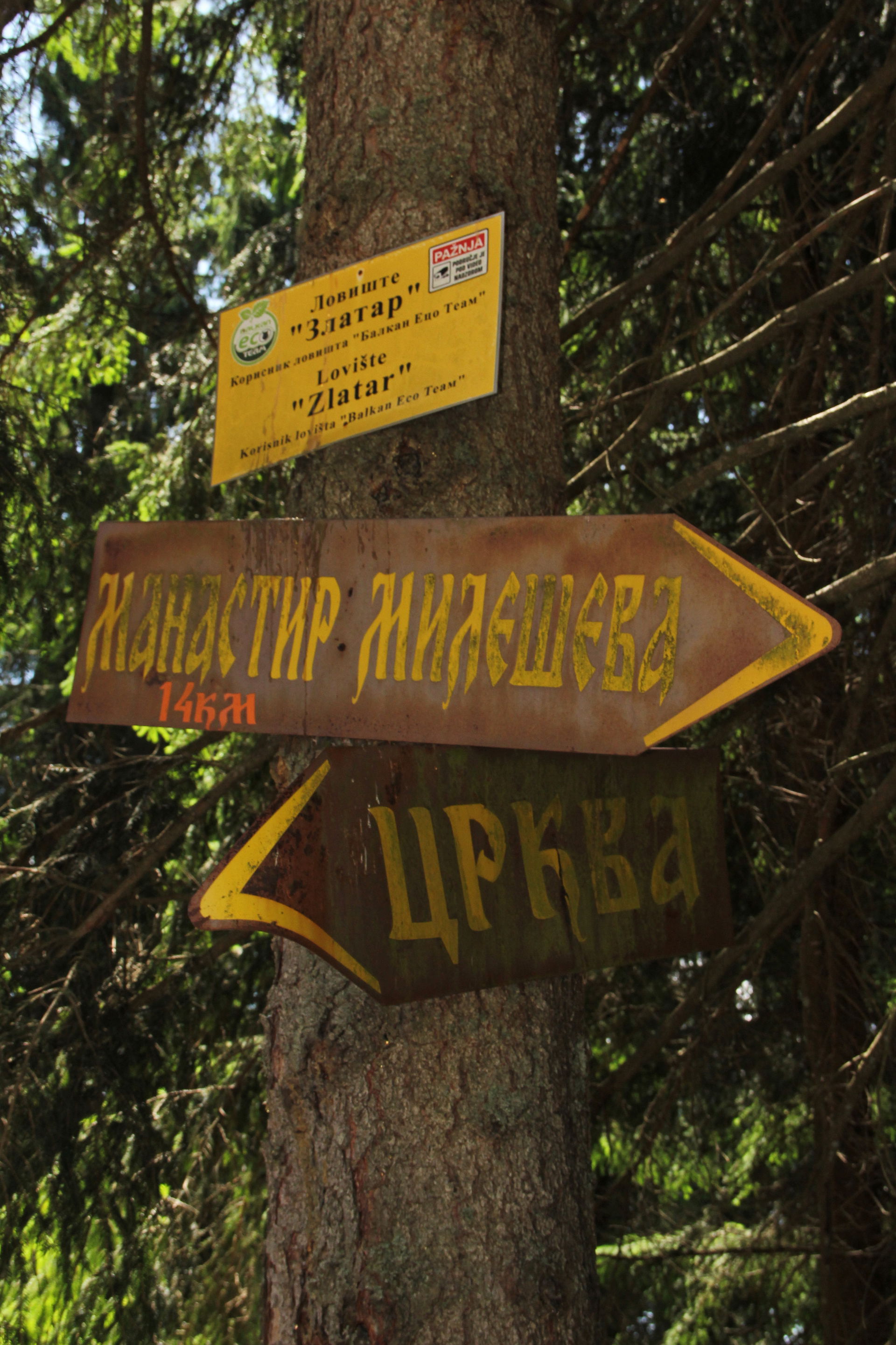 Detail from Mount Zlatar (Nova Varos Municipality), Serbia.