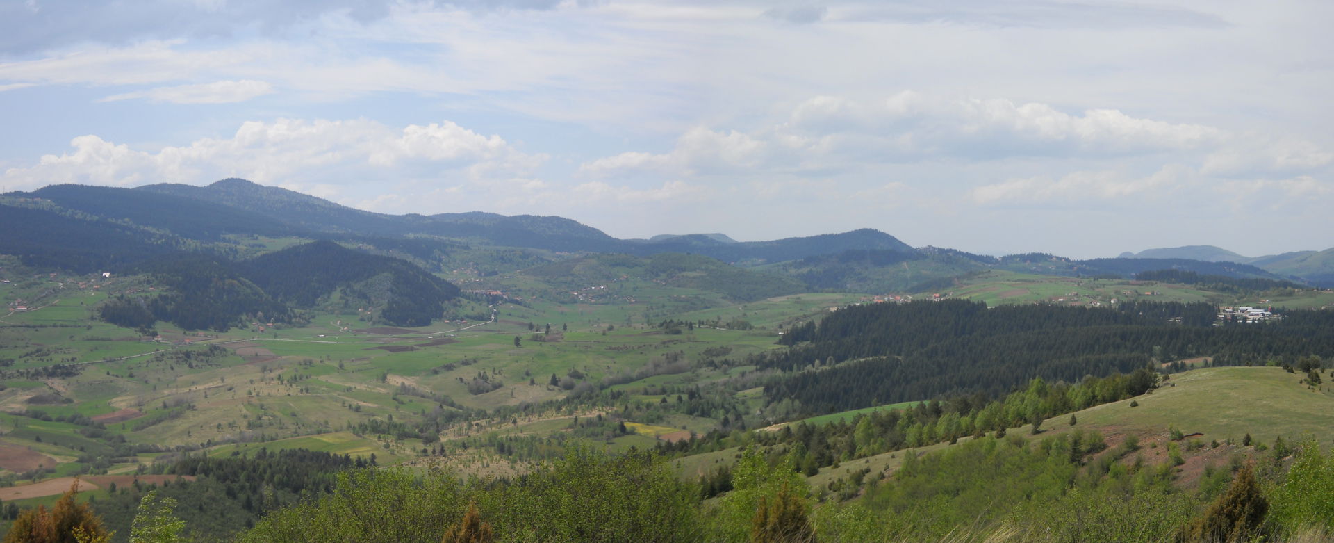 Zlatar