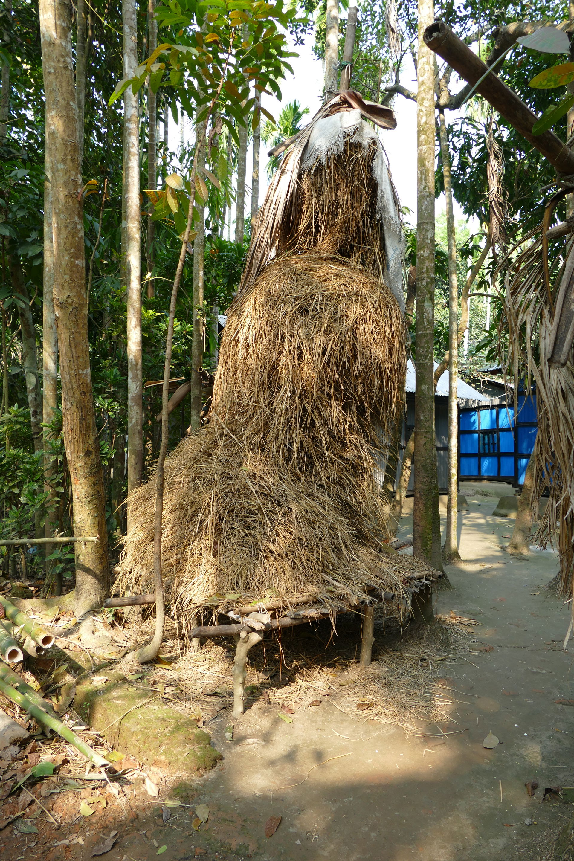 A haystack in Chandpur district