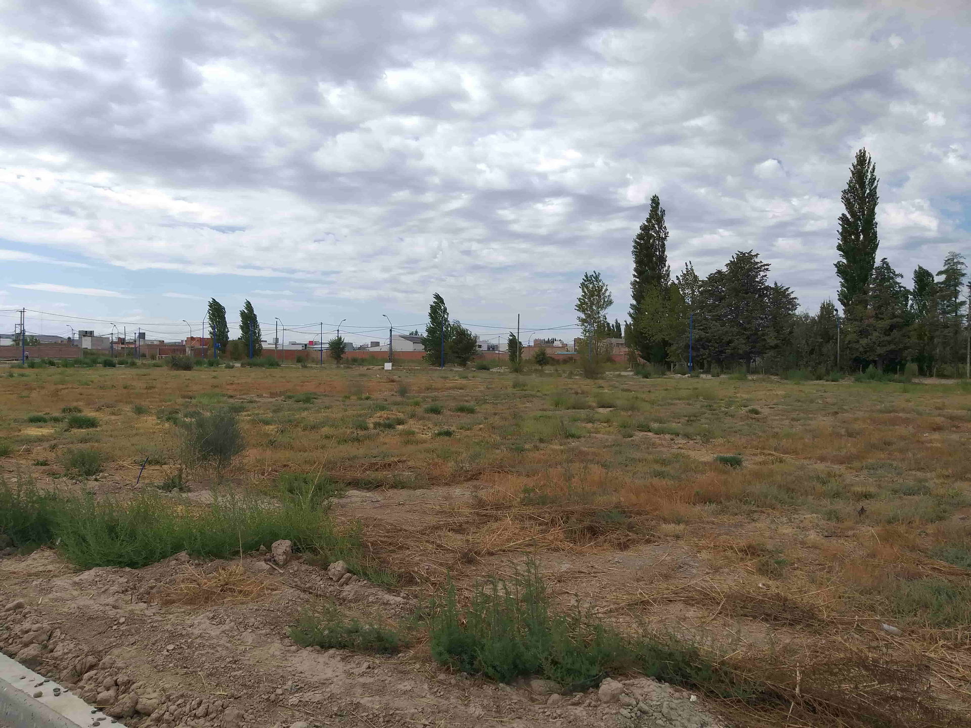 Imagen de barrio Pecini en la localidad de General Roca, tomada…