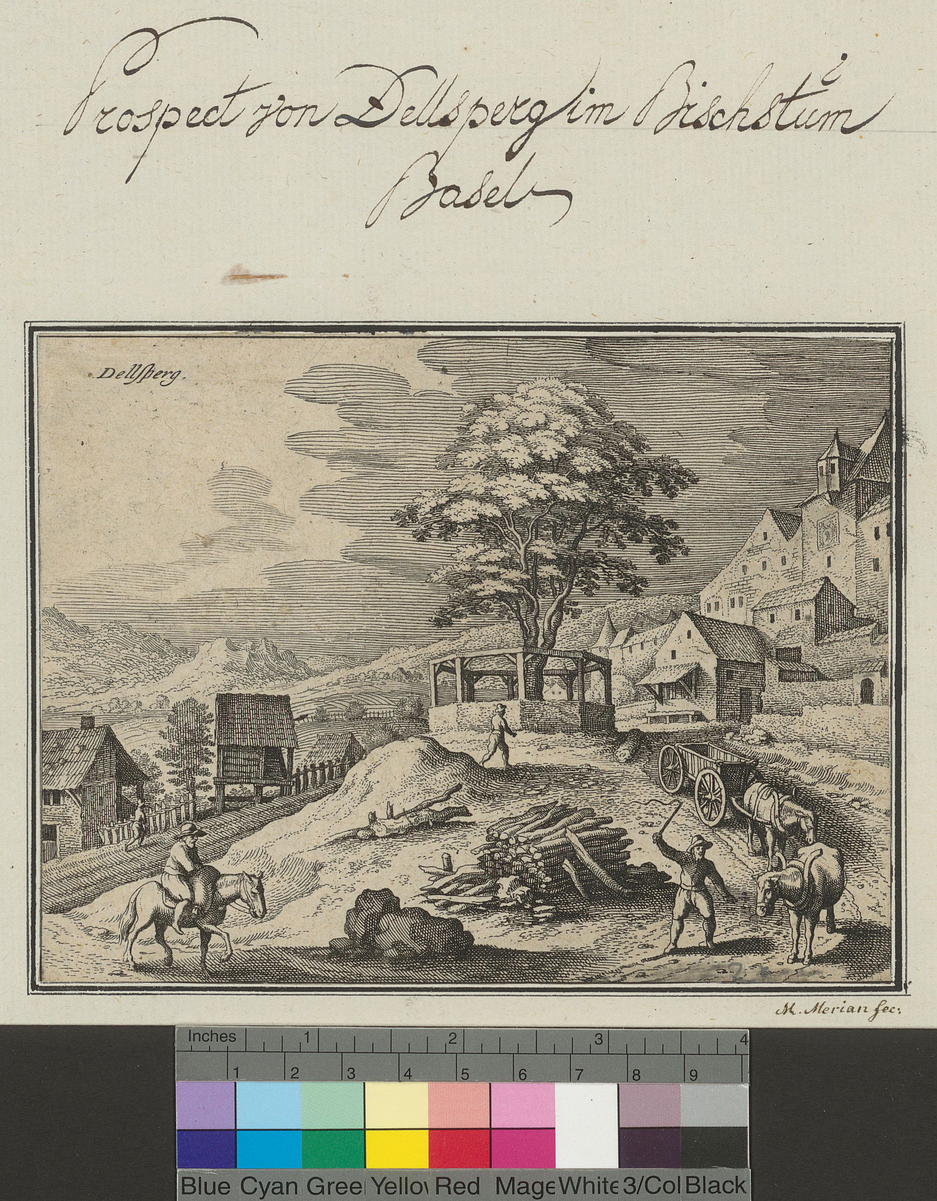 Delémont view 1