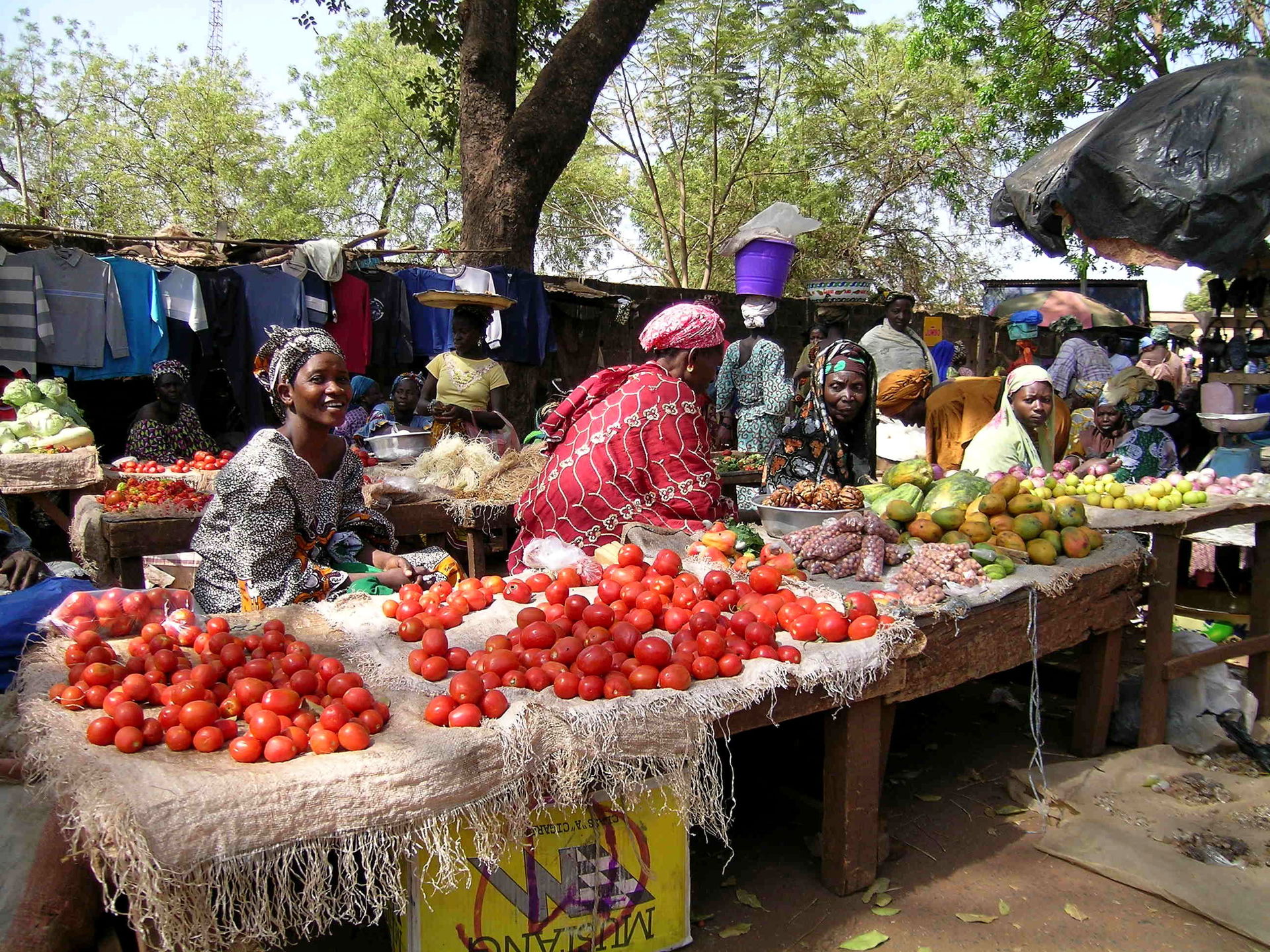 Women merchants sell Tomatoes, fruit, nuts, used clothing in st…