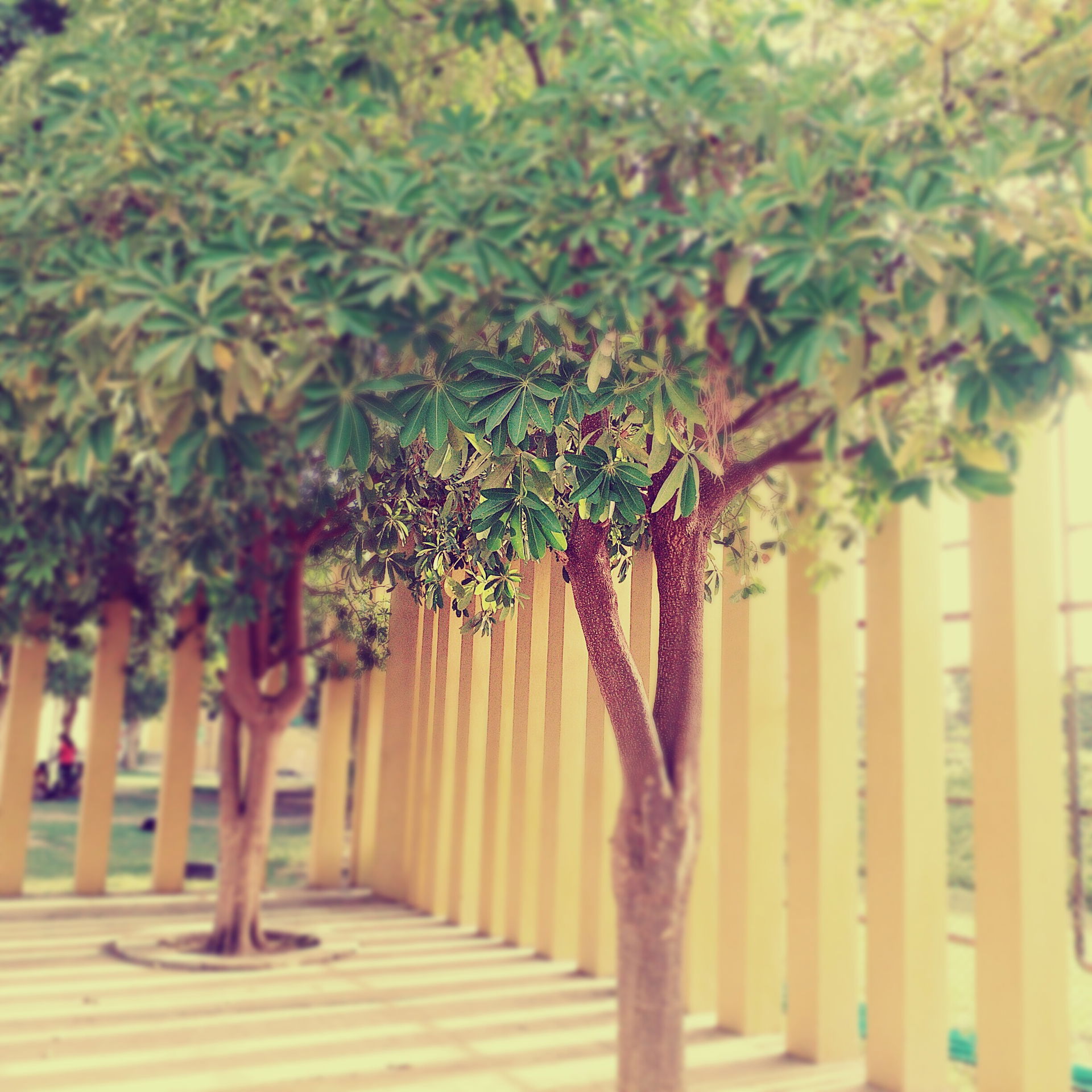 Shirpur view 3