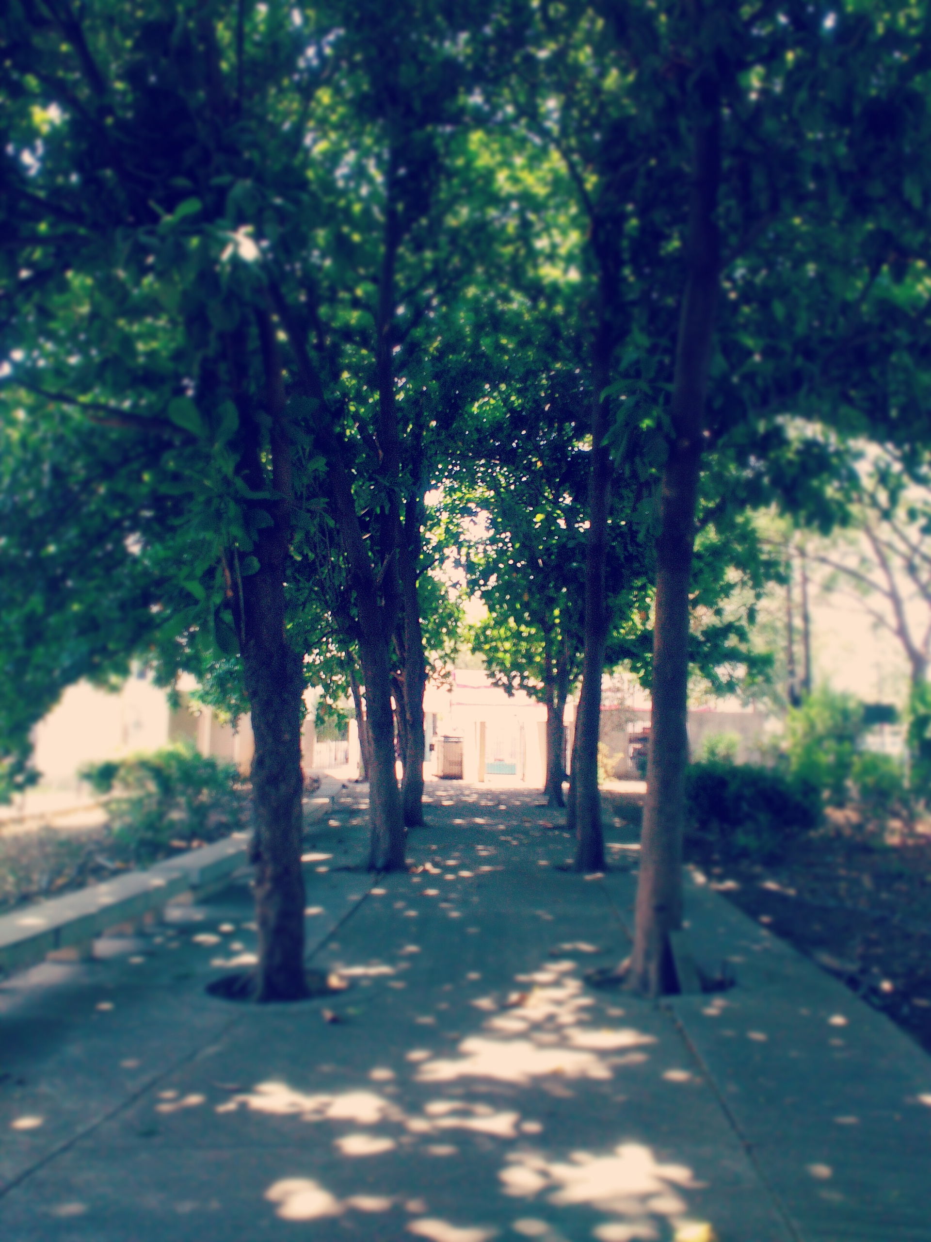 Shirpur view 2