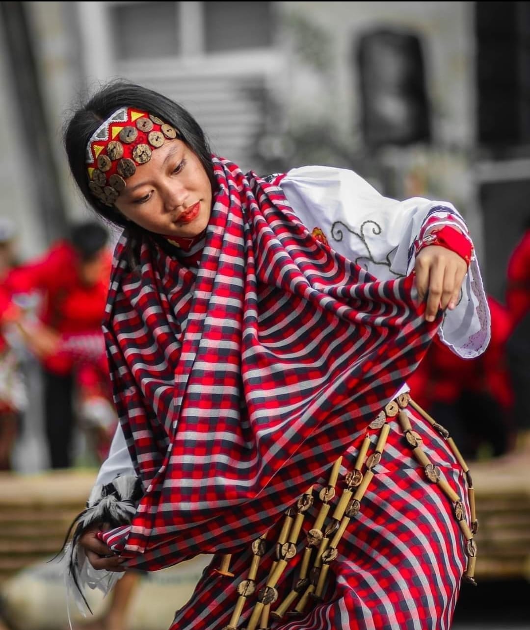 The Binanog Festival is a cultural and religious festival held …