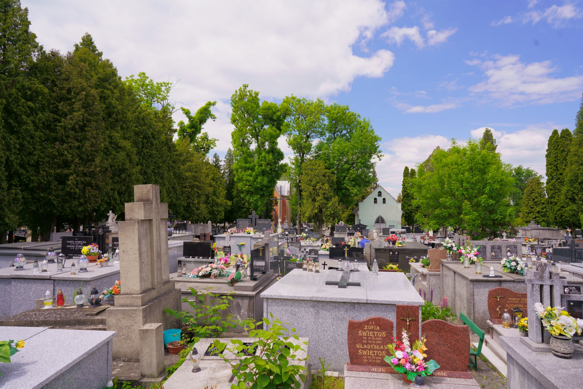 Dębica zabytek A 50 cmentarza parafialny fragment.