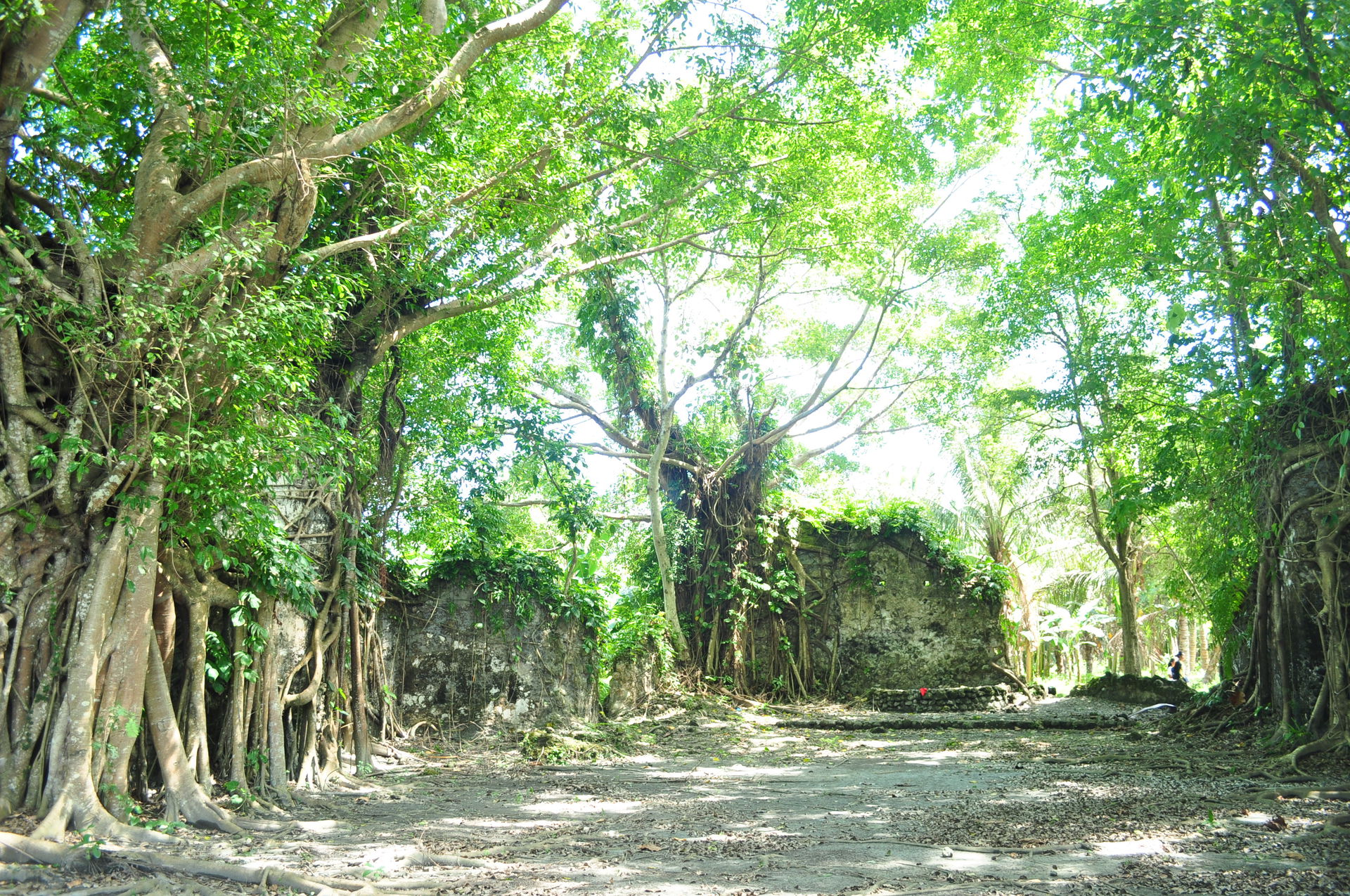 Bongabong view 4