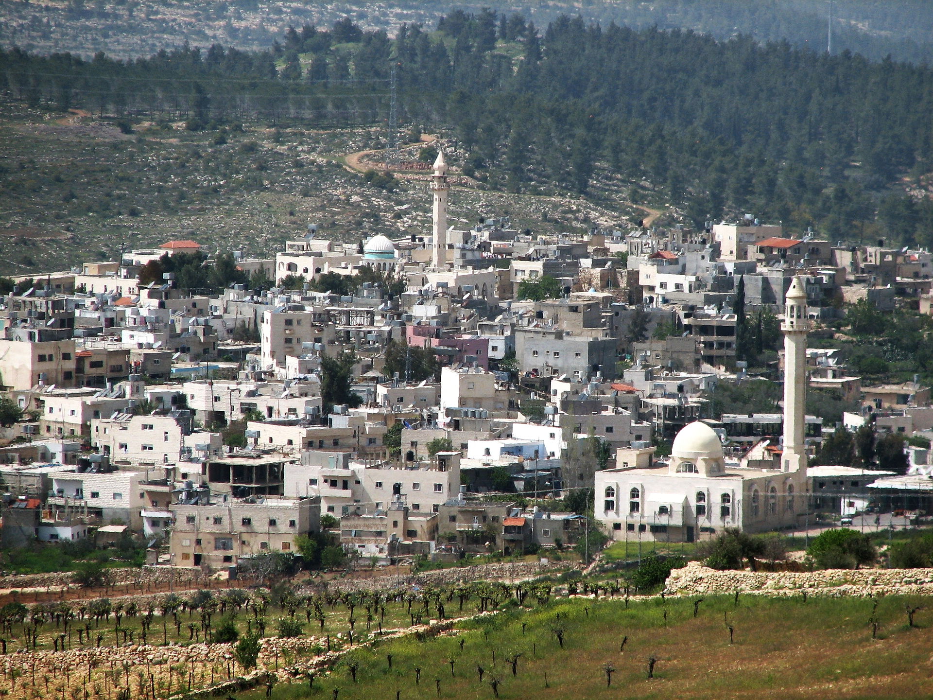 Arab village of Husan, view from Sde Boaz.