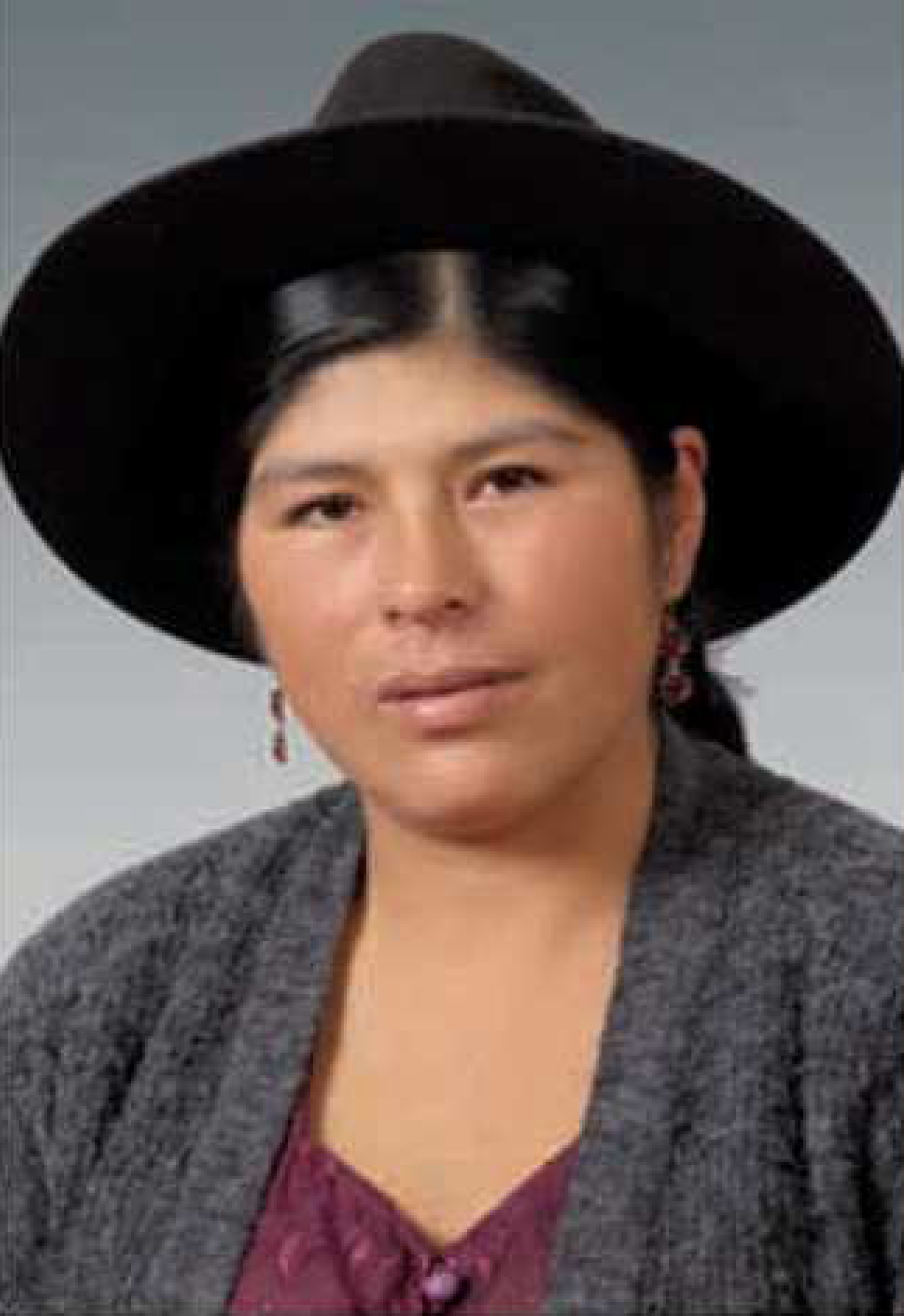 Emeliana Aiza Parada, sixth party-list deputy for Potosí (Movem…