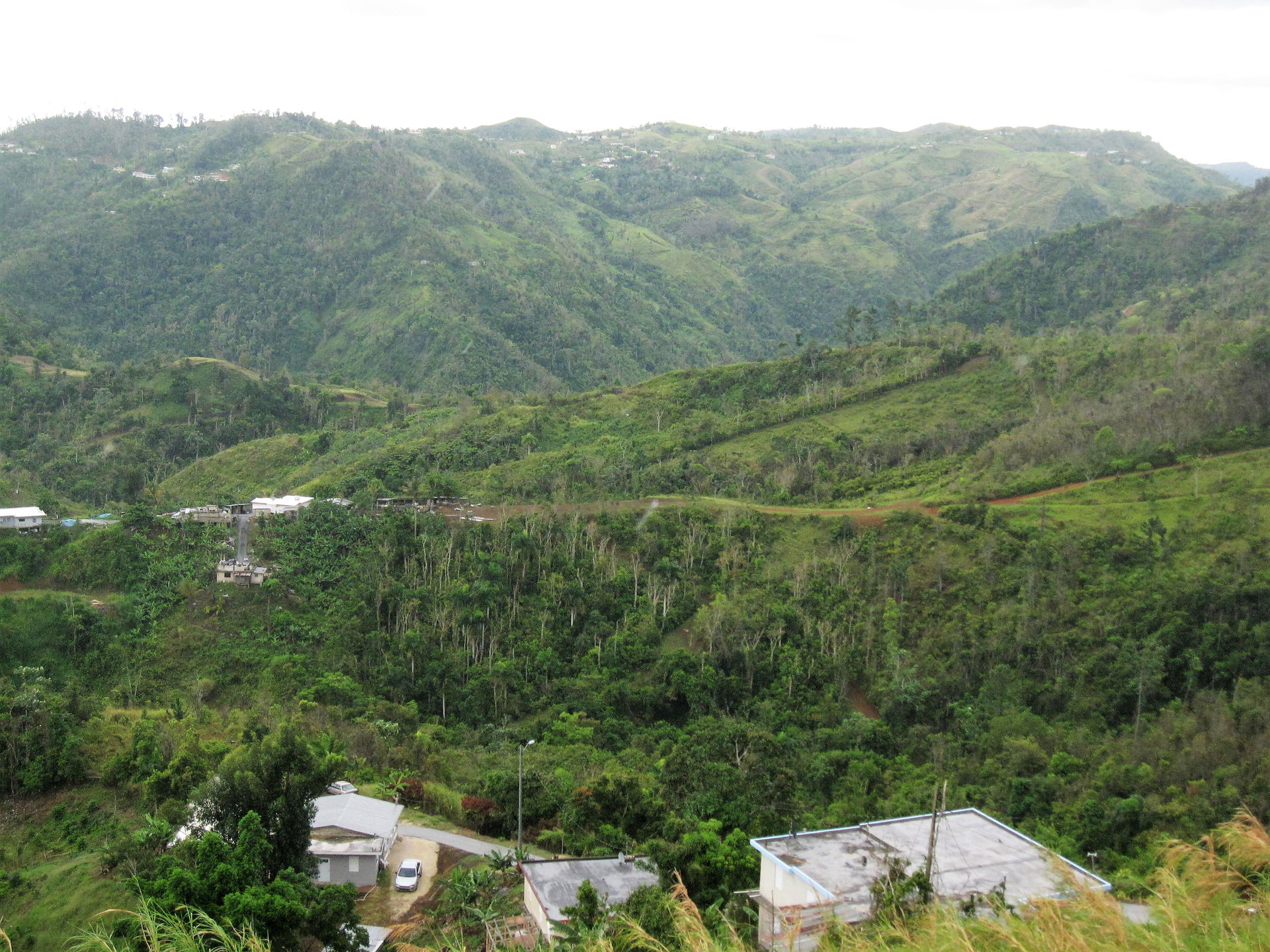 La Cordillera Central desde el mirador en Orocovis, Puerto Rico