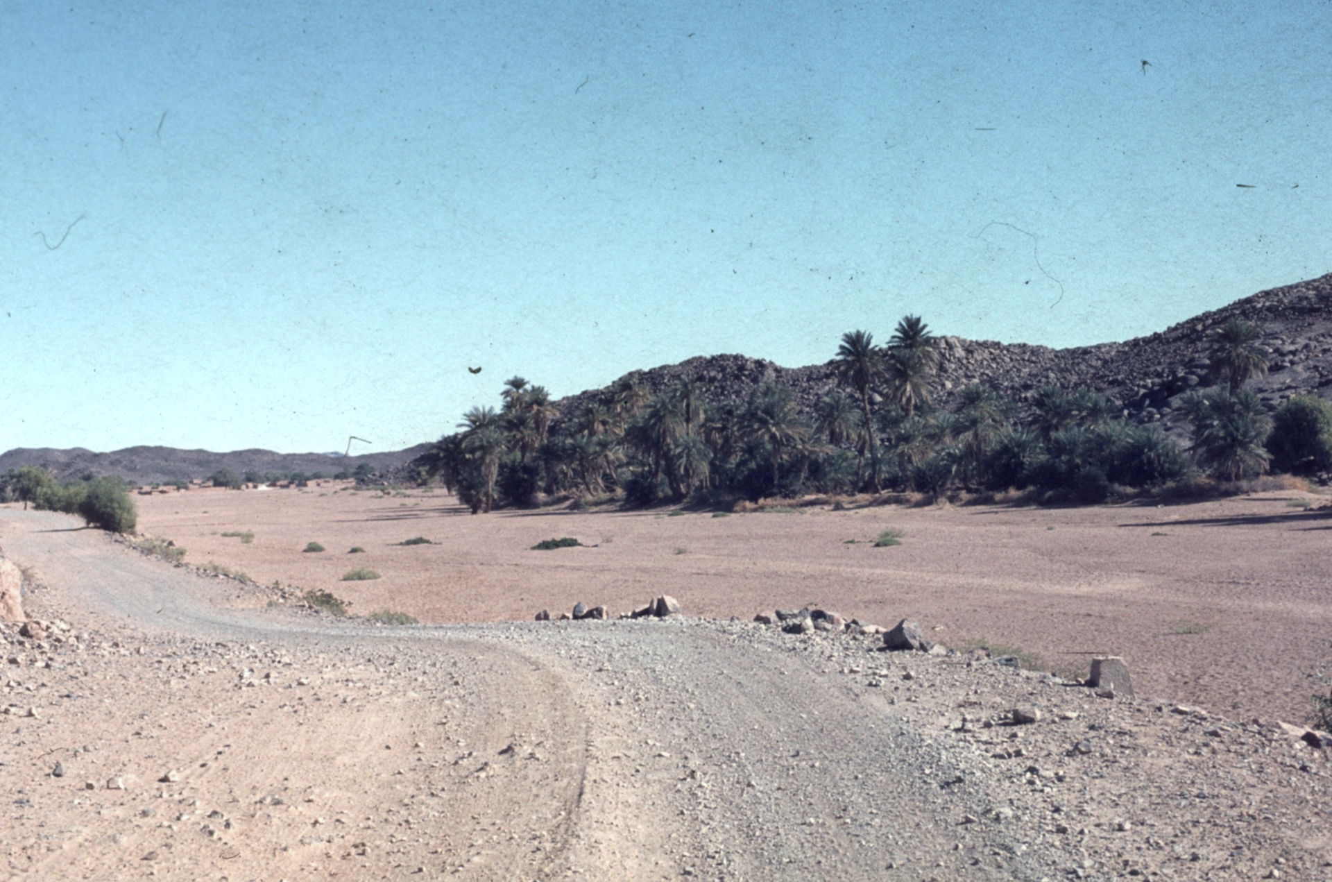 An oasis to the south of Tesalit. After looking at Google Earth…