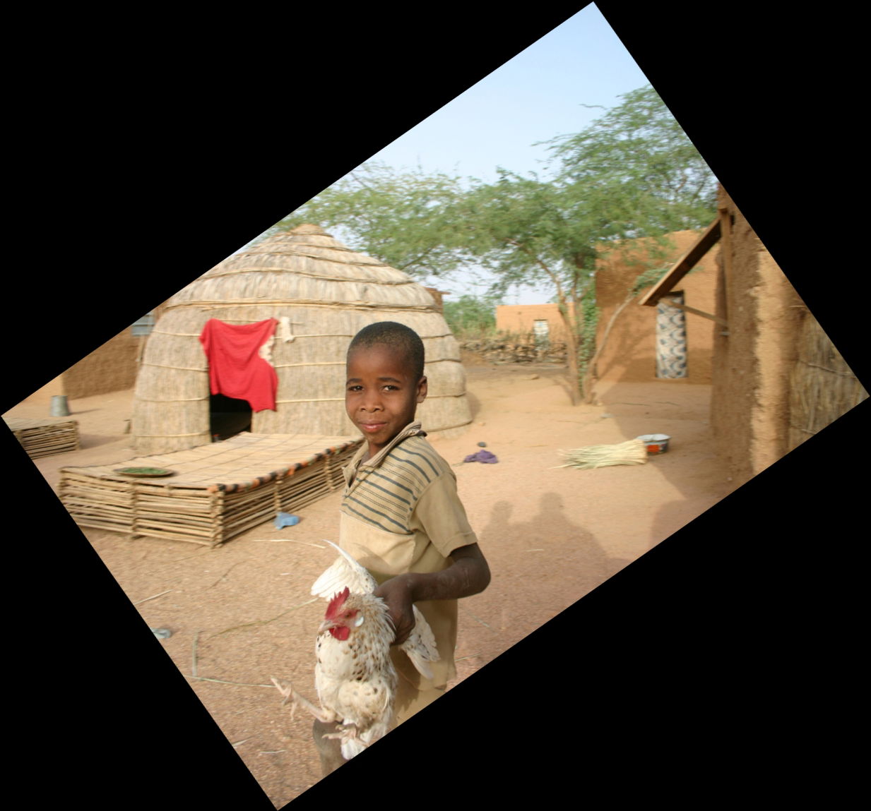 Kid carrying a chicken. Azamalan Village, North Niger. (village…