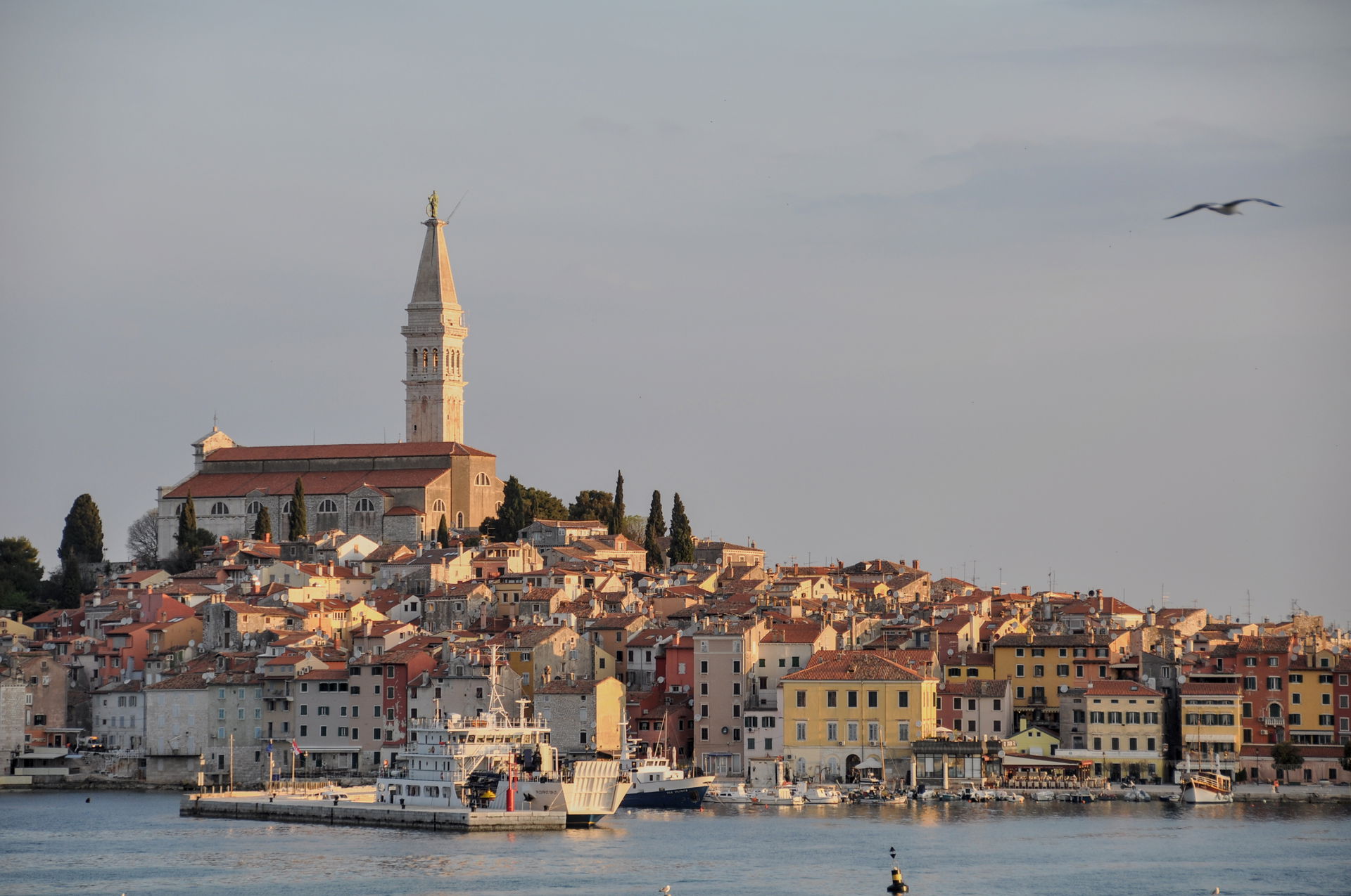 View from the south of the old town of Rovinj in the early morn…