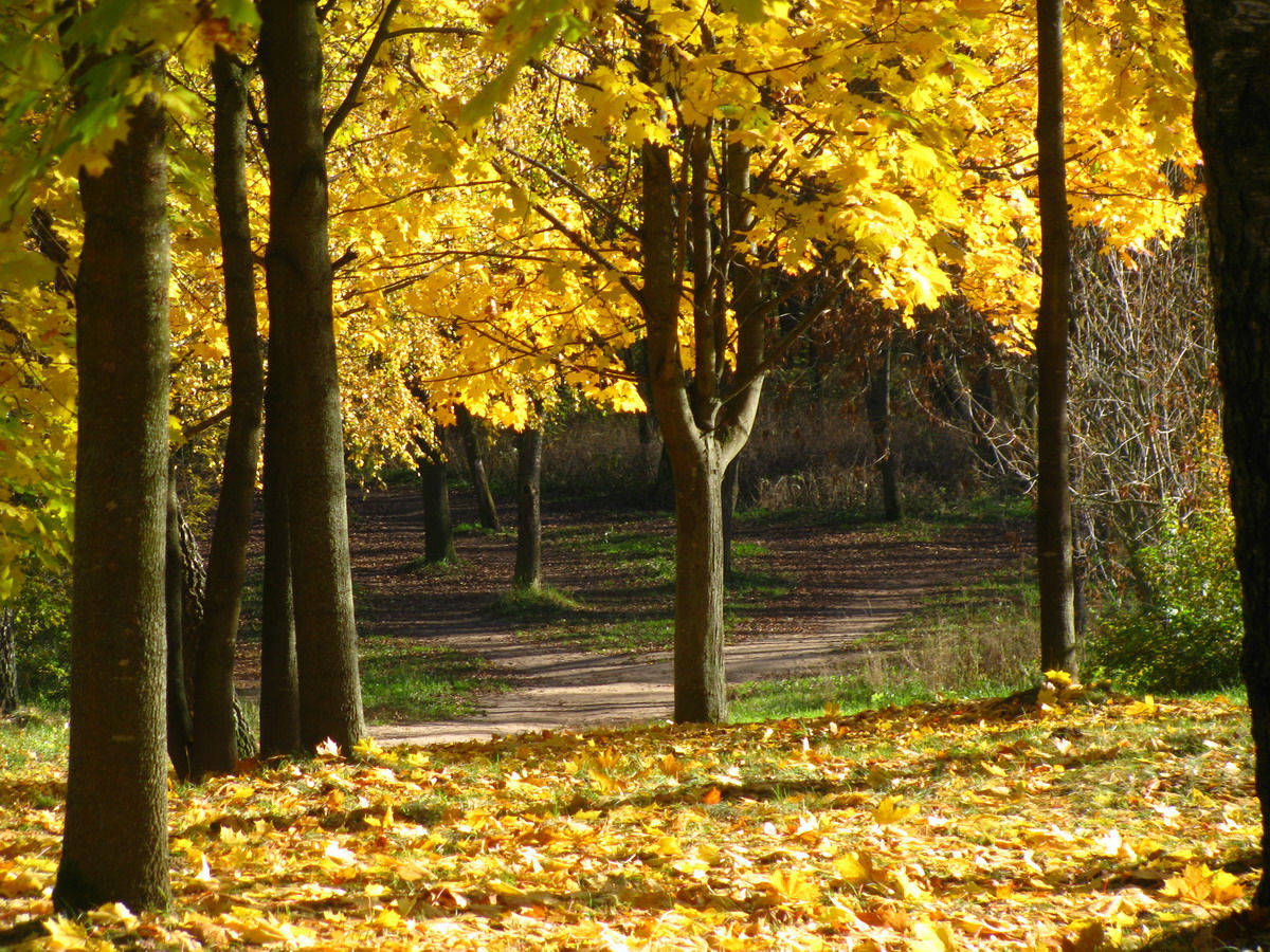 Autumn Park in Molodechno