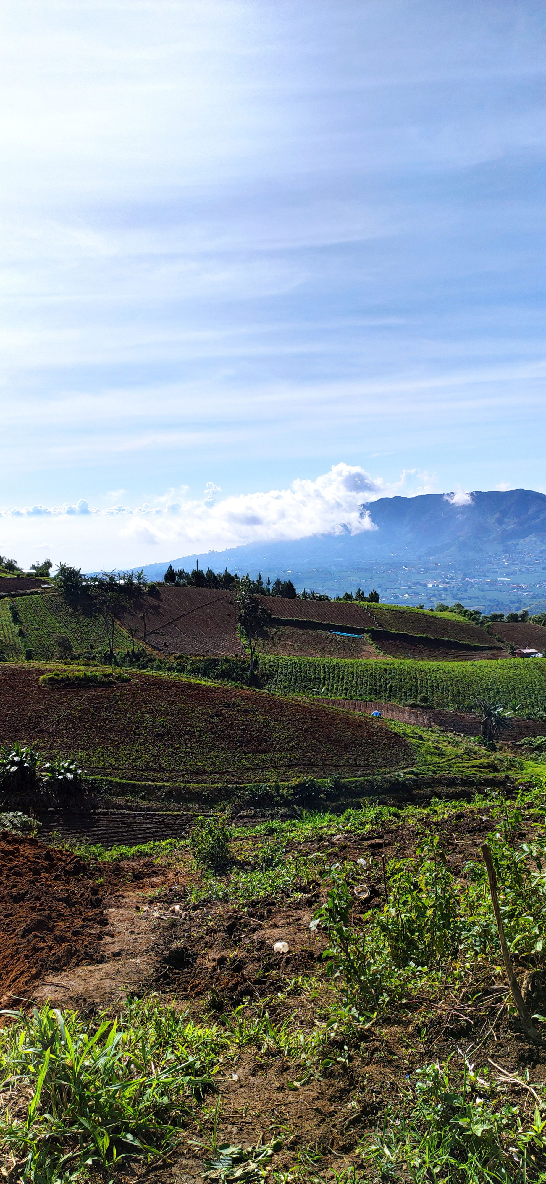 This view can be found in the Mt. Apo Natural Park