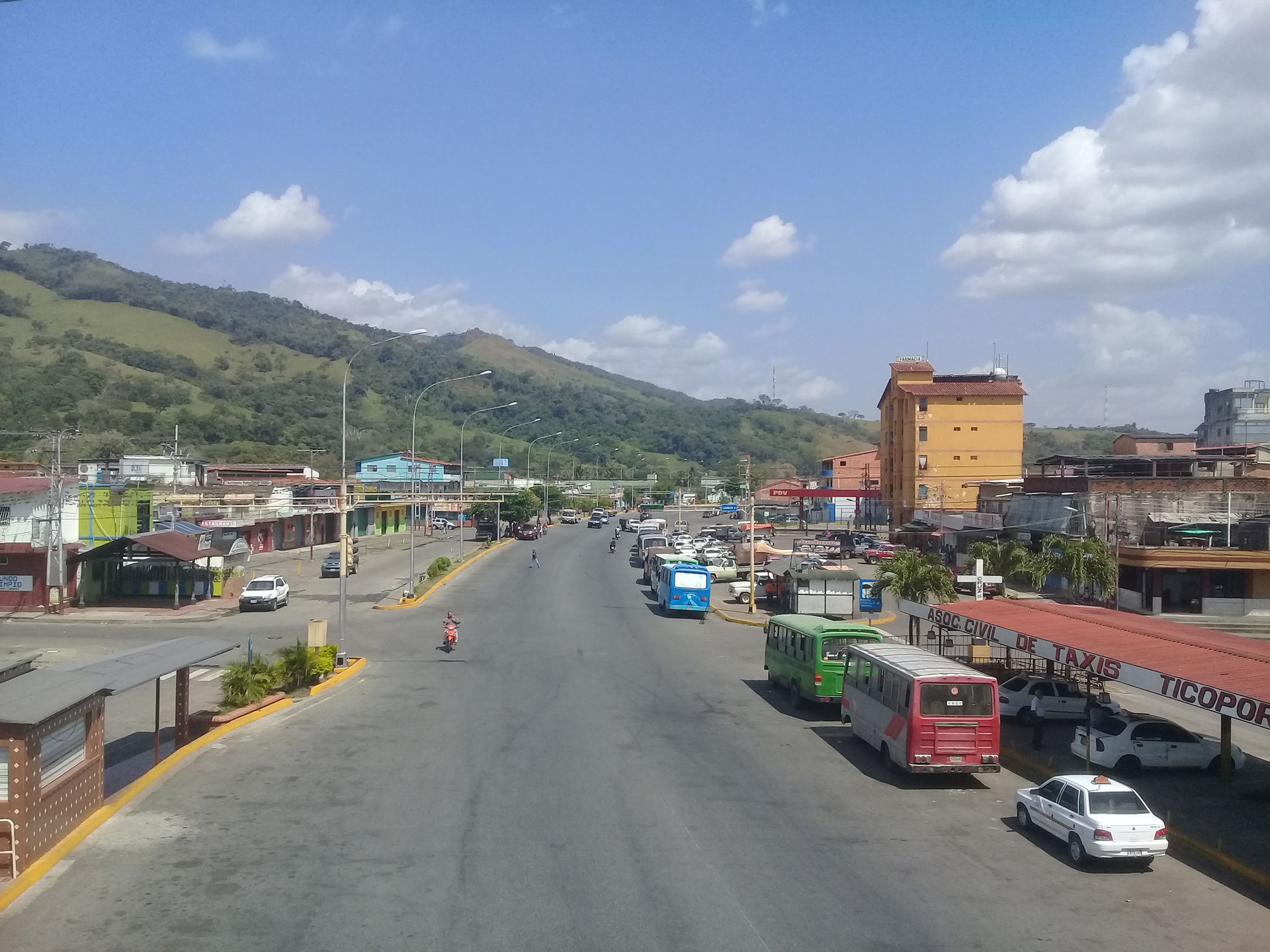 Part of trunk 5 of the city of Socopó, Barinas state, Venezuela