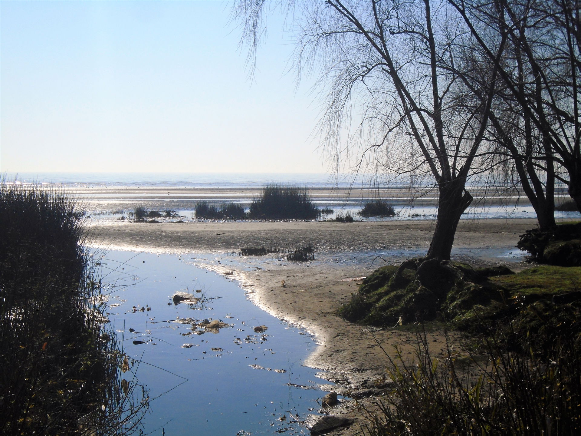Costa de Berazategui.