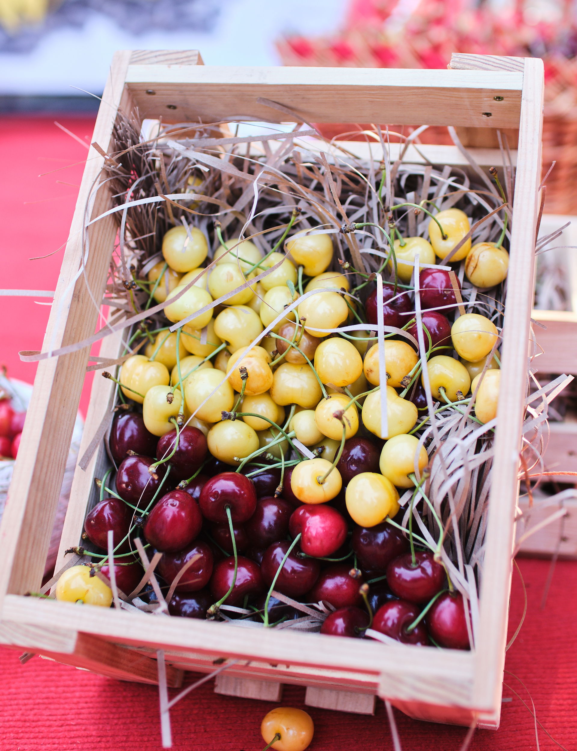 Melitopol selectionists created 40 varietiesof cherries