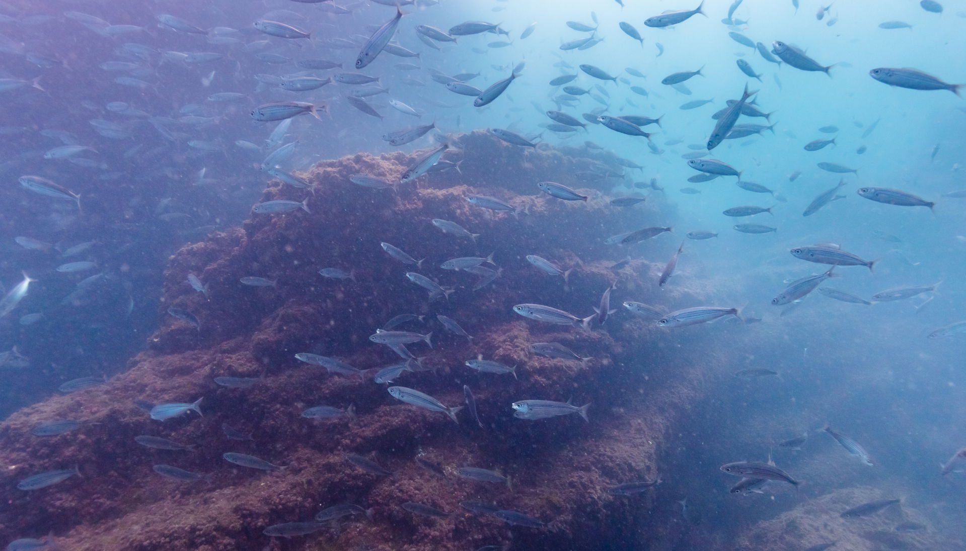 This is a photograph of a Special Area of Conservation in Spain…